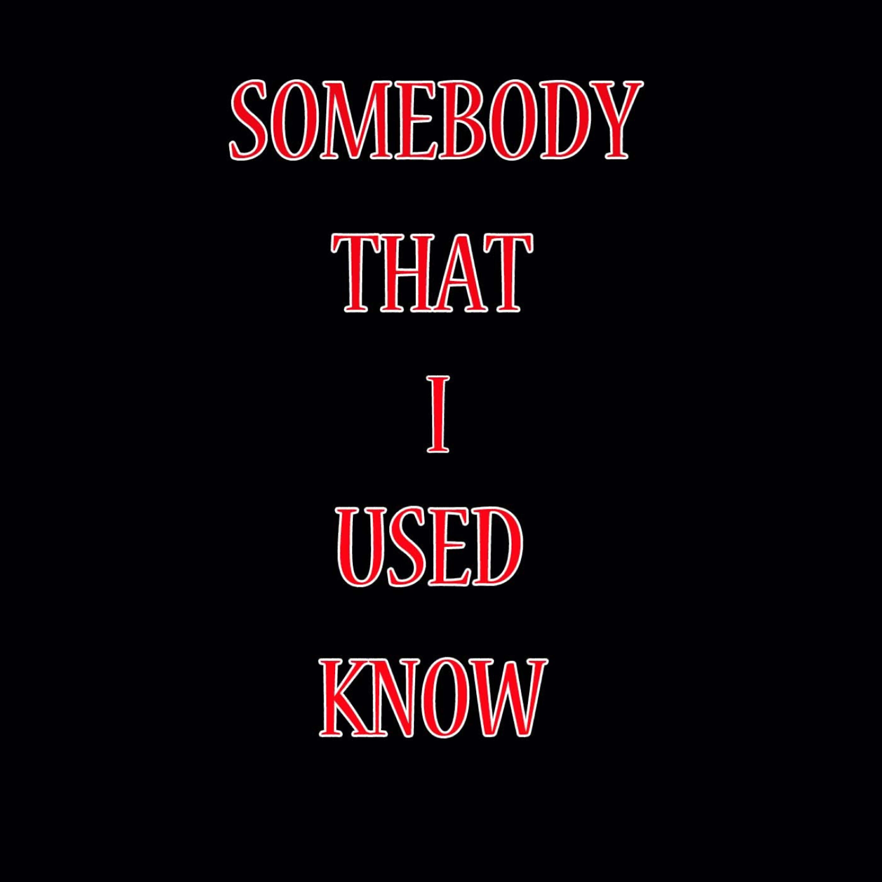 The Acoustics - Somebody That I Used To Know (As Made Famous By Gotye Cover) 1