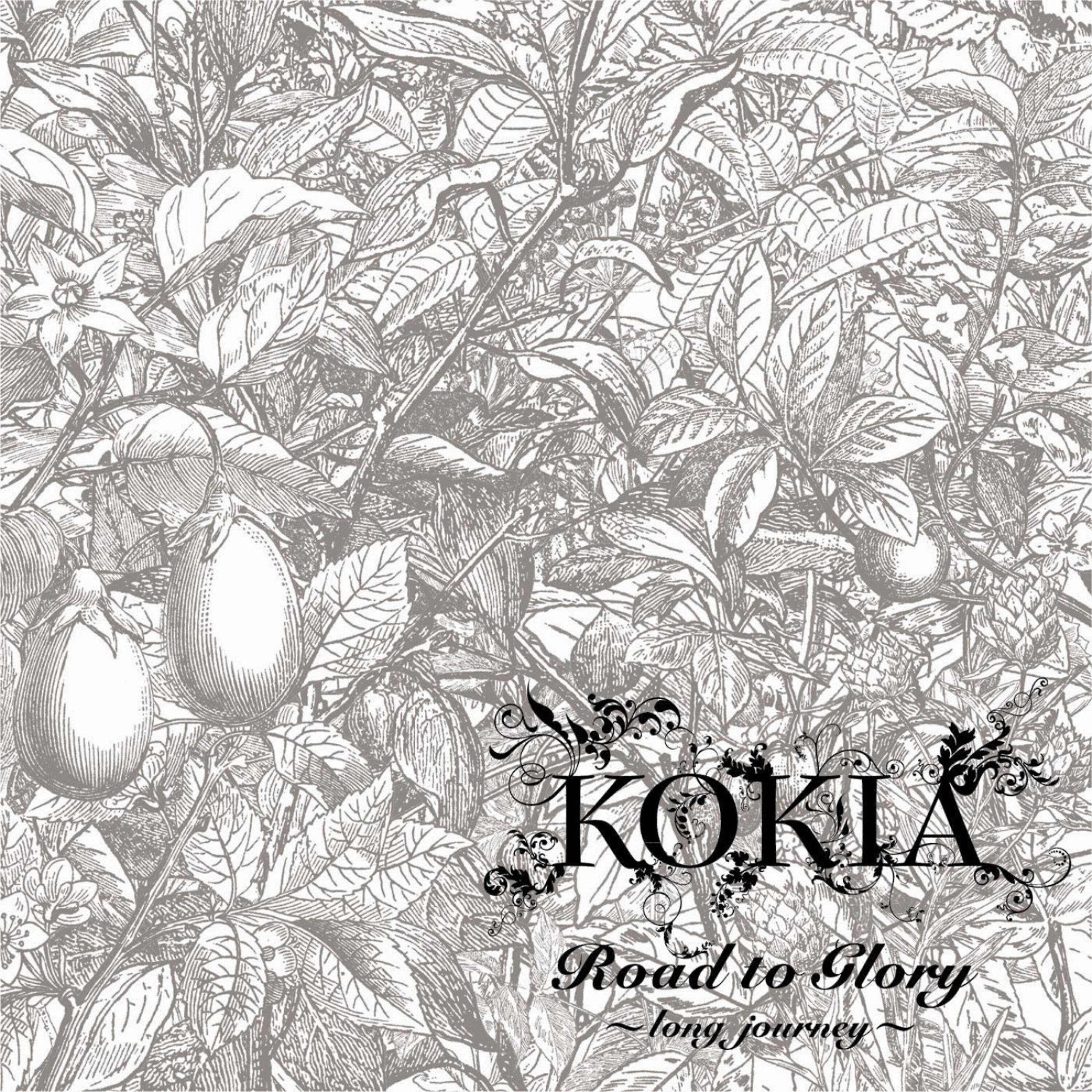 Kokia - Road To Glory (For Dragon Nest White Version)