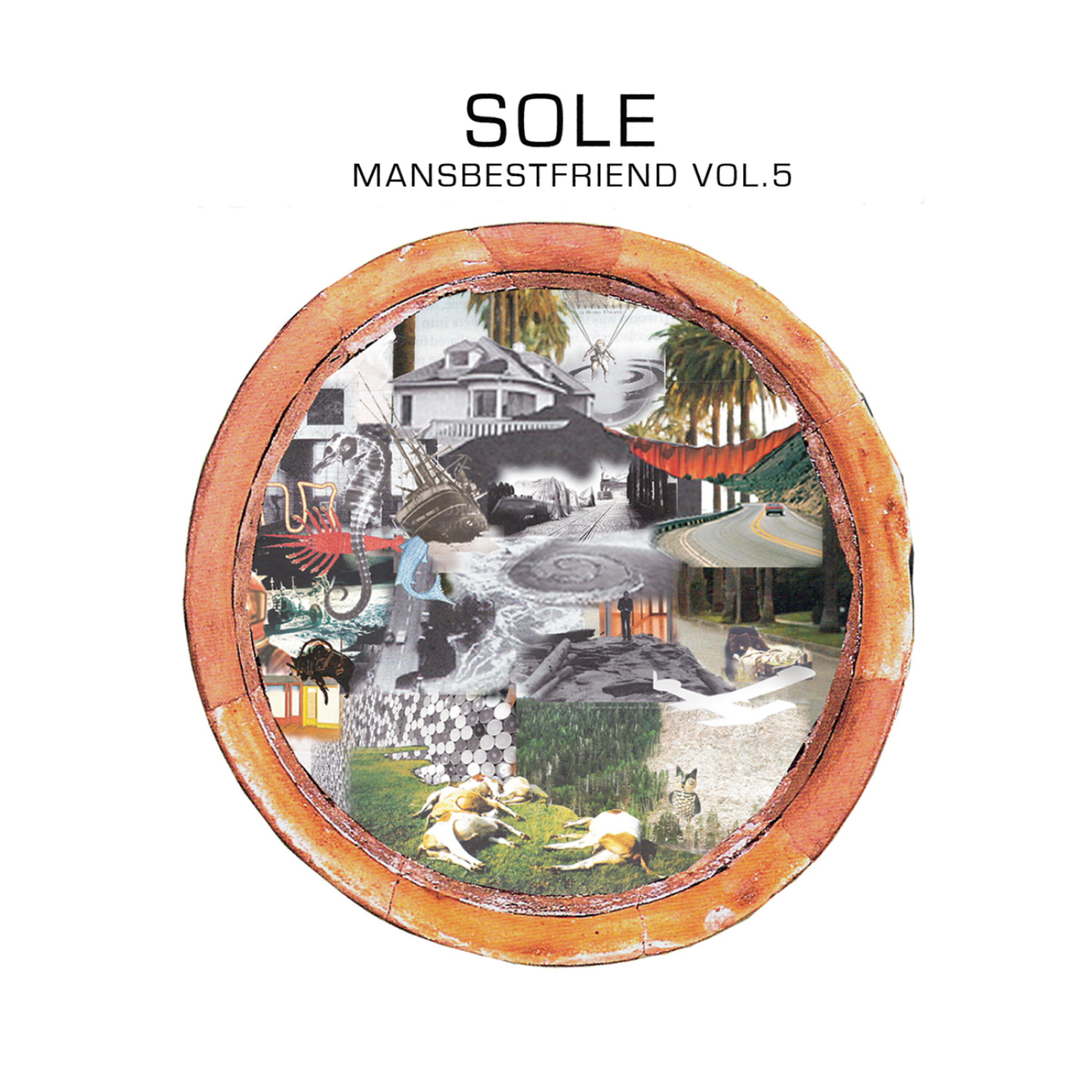 SOLE - Wale