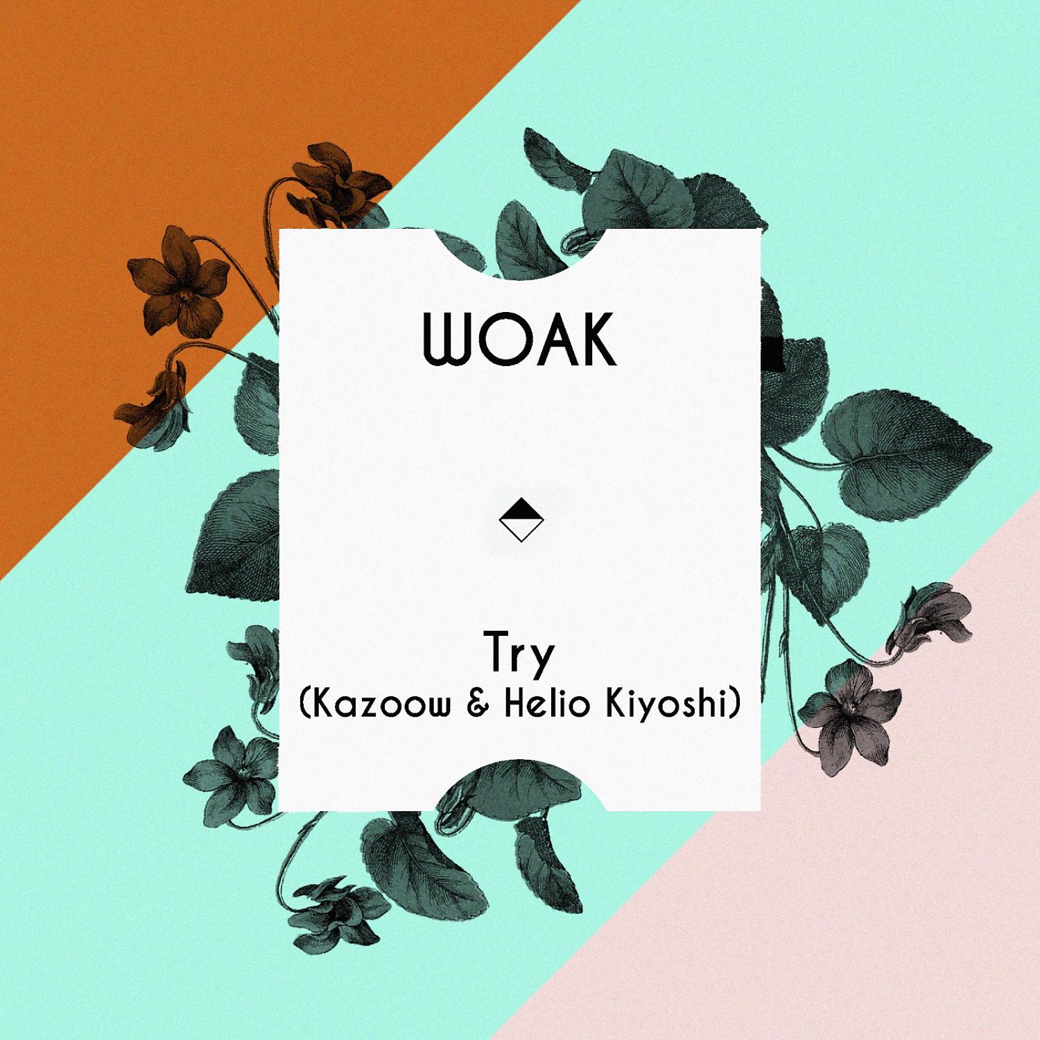 Постер альбома Try (feat. Kazoow & Helio Kiyoshi) [Kazoow & Helio Kiyoshi]