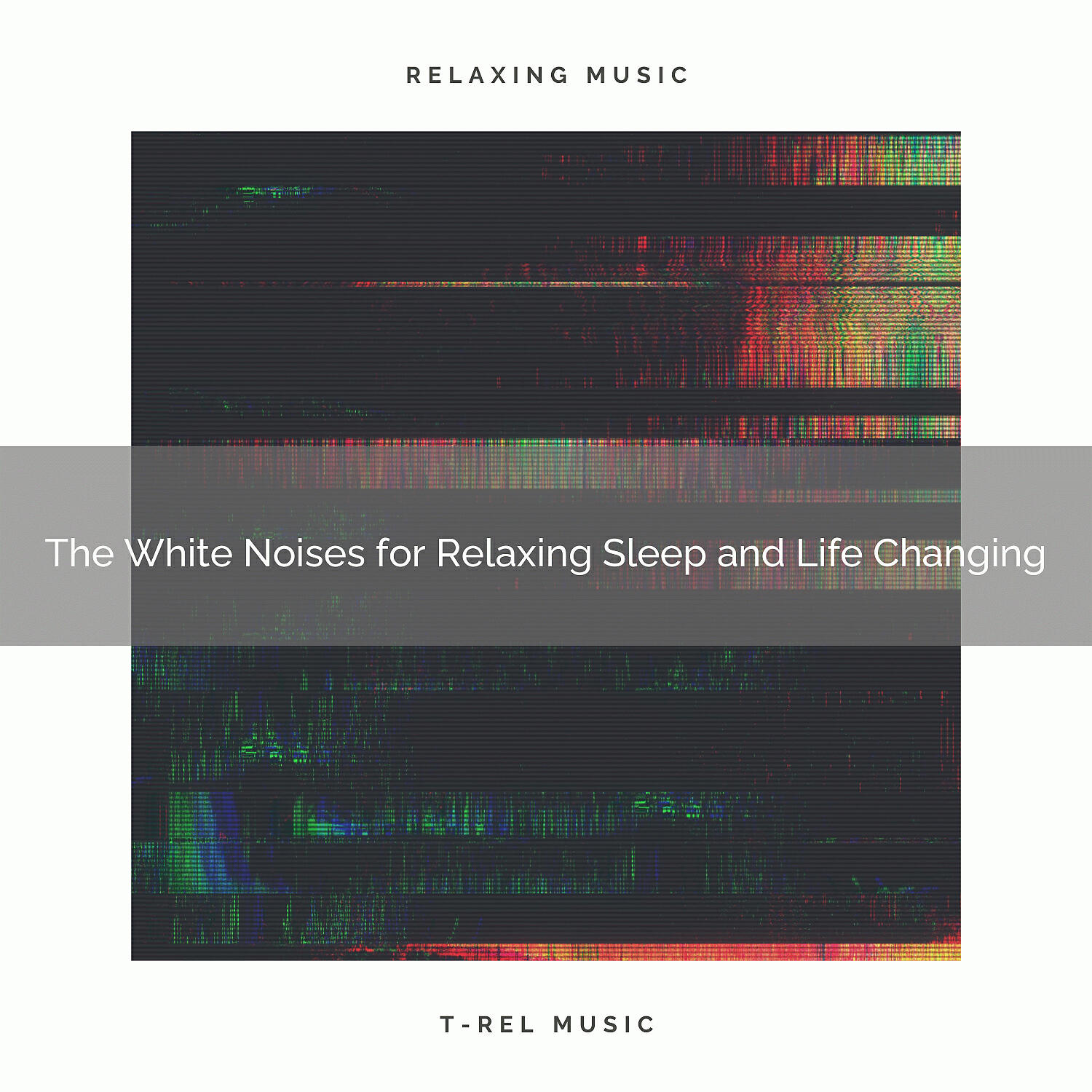 White Noise Society - Dream and Hear the Pleasure of White Noise