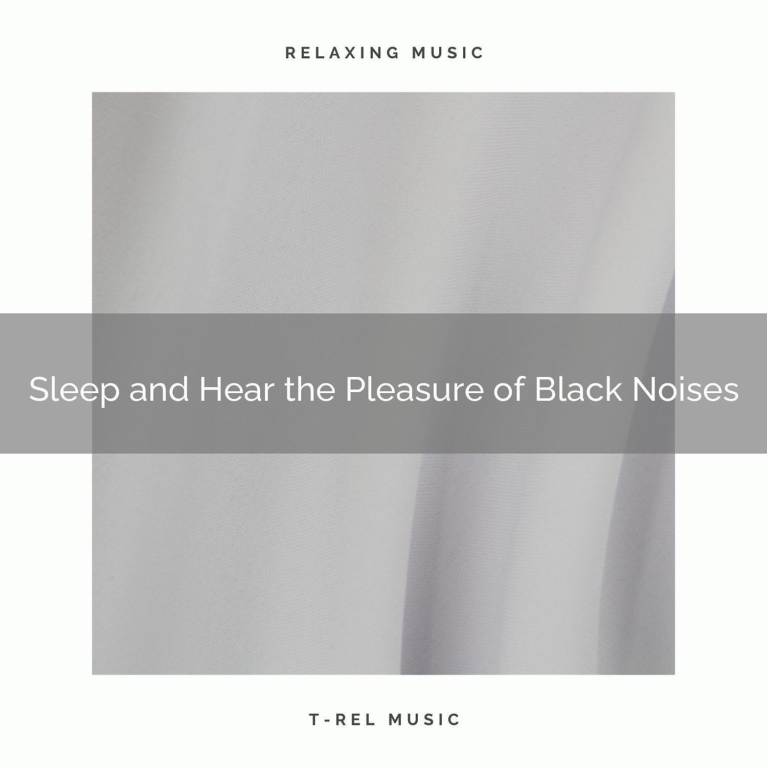 Постер альбома Sleep and Hear the Pleasure of Black Noises