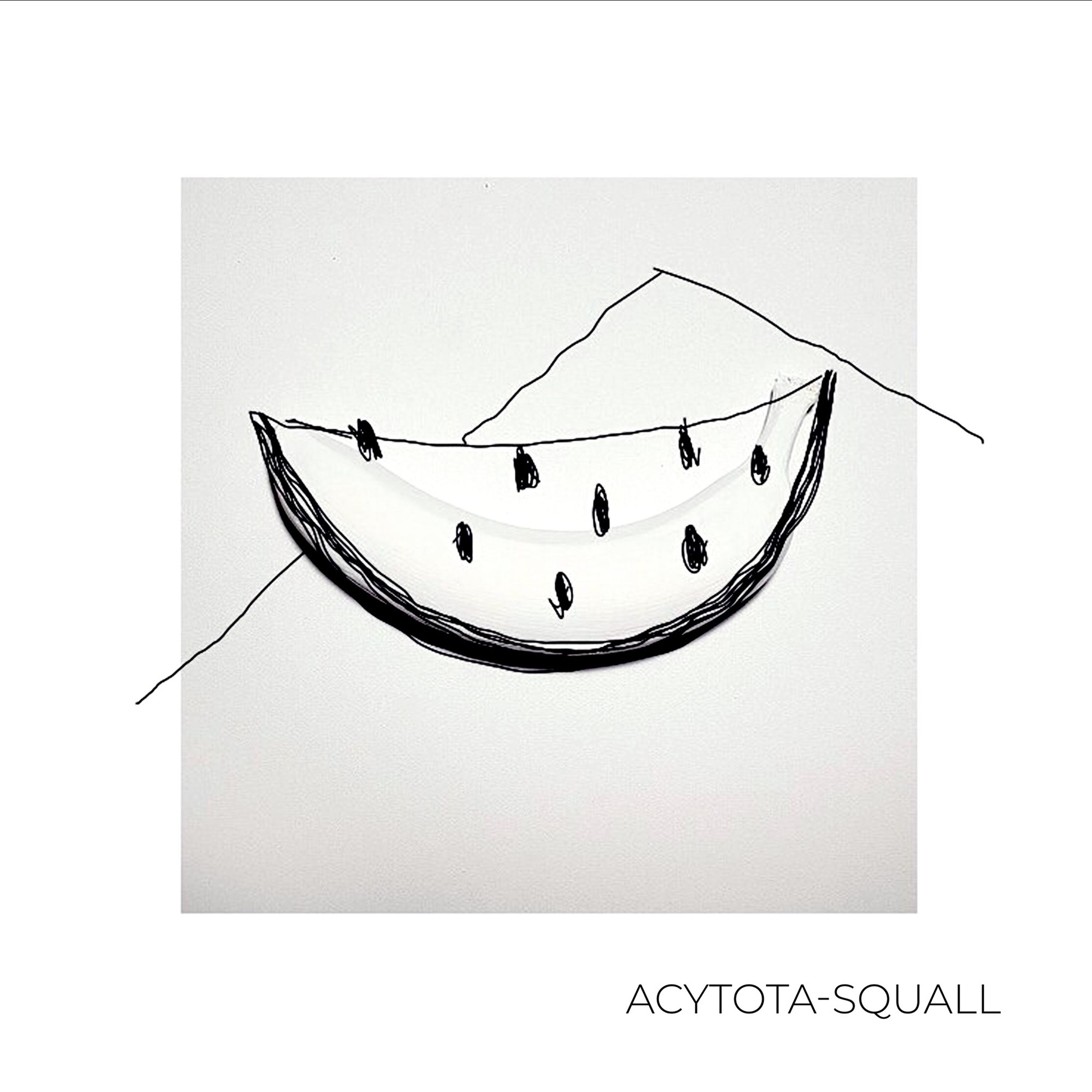 Постер альбома Squall