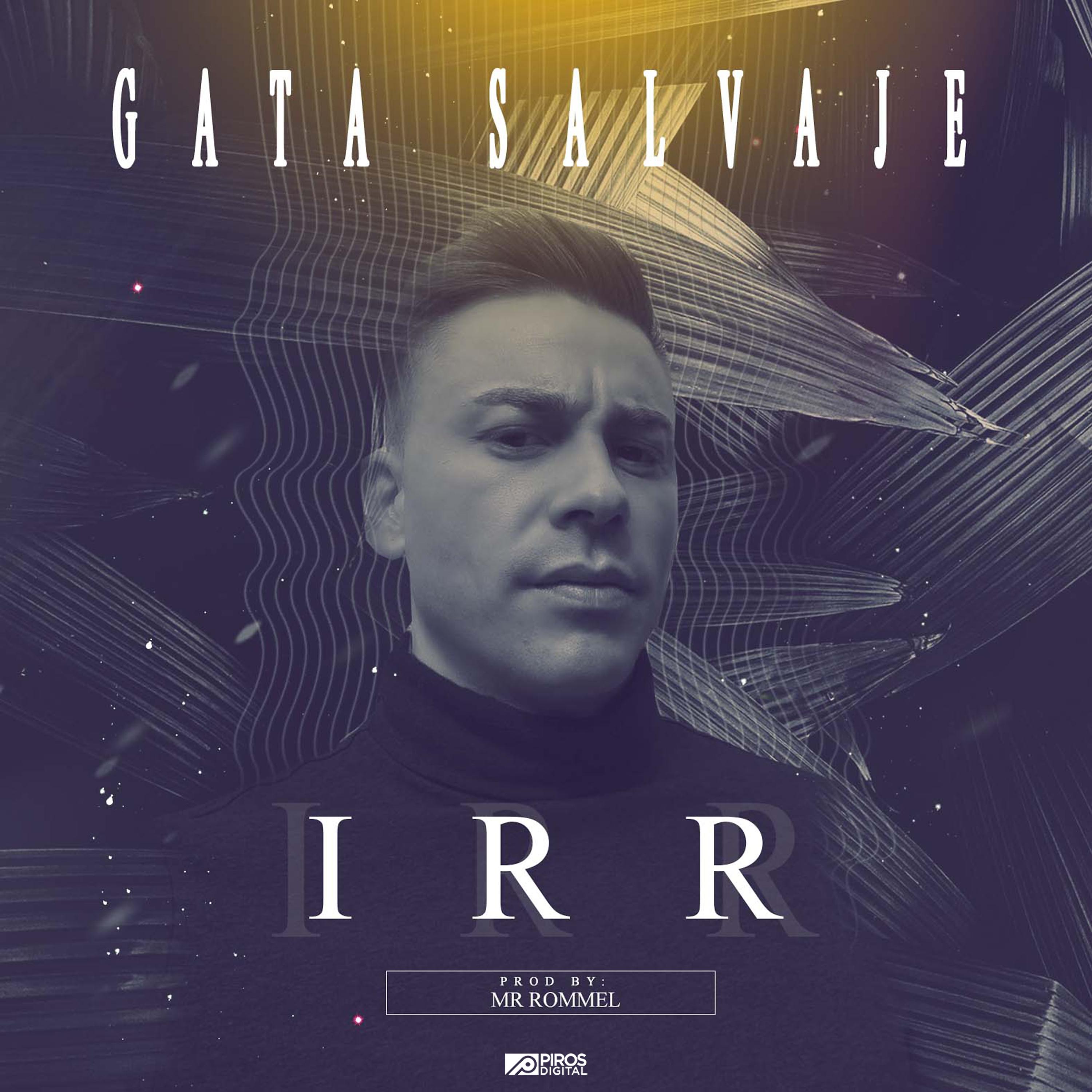 Постер альбома Gata Salvaje