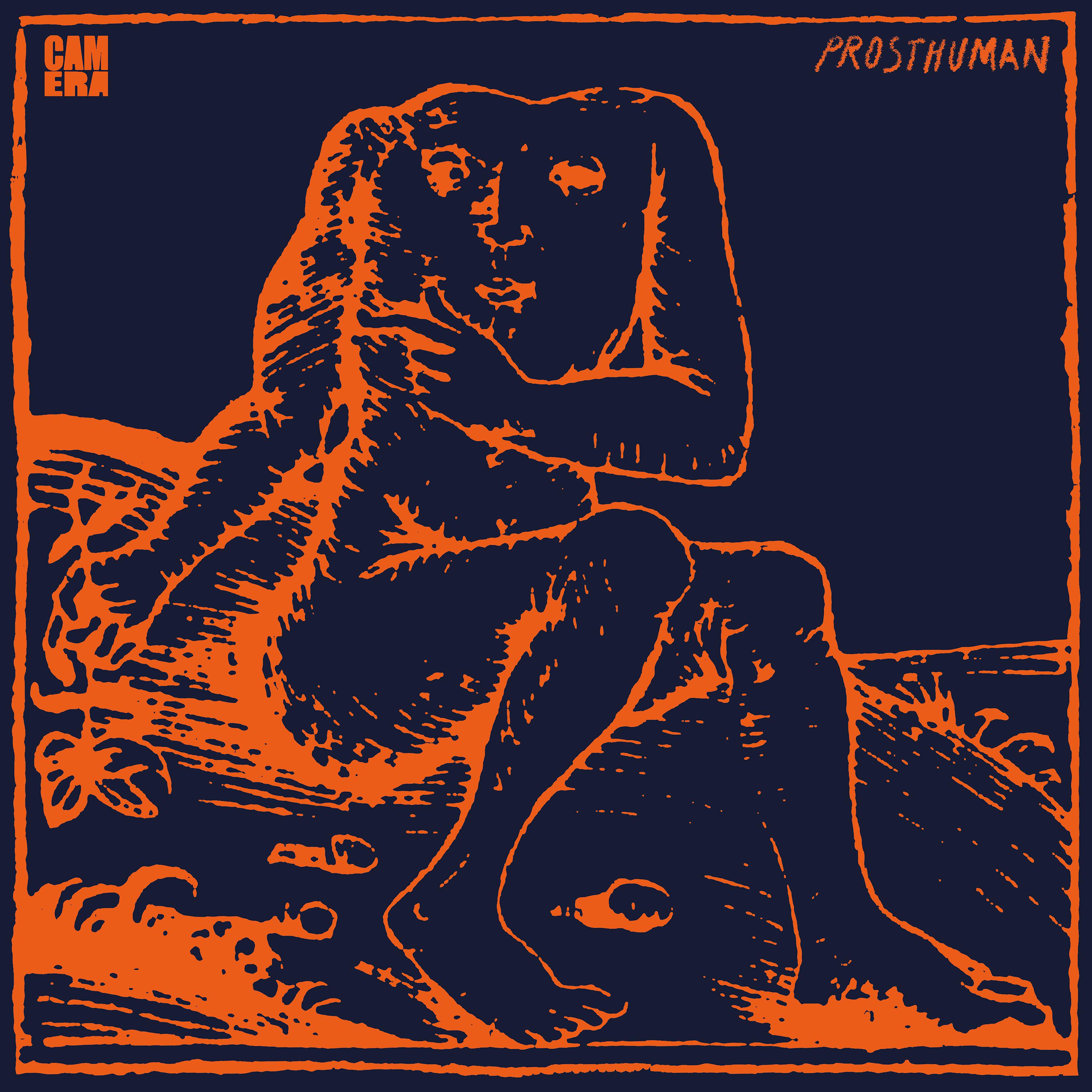 Постер альбома Prosthuman
