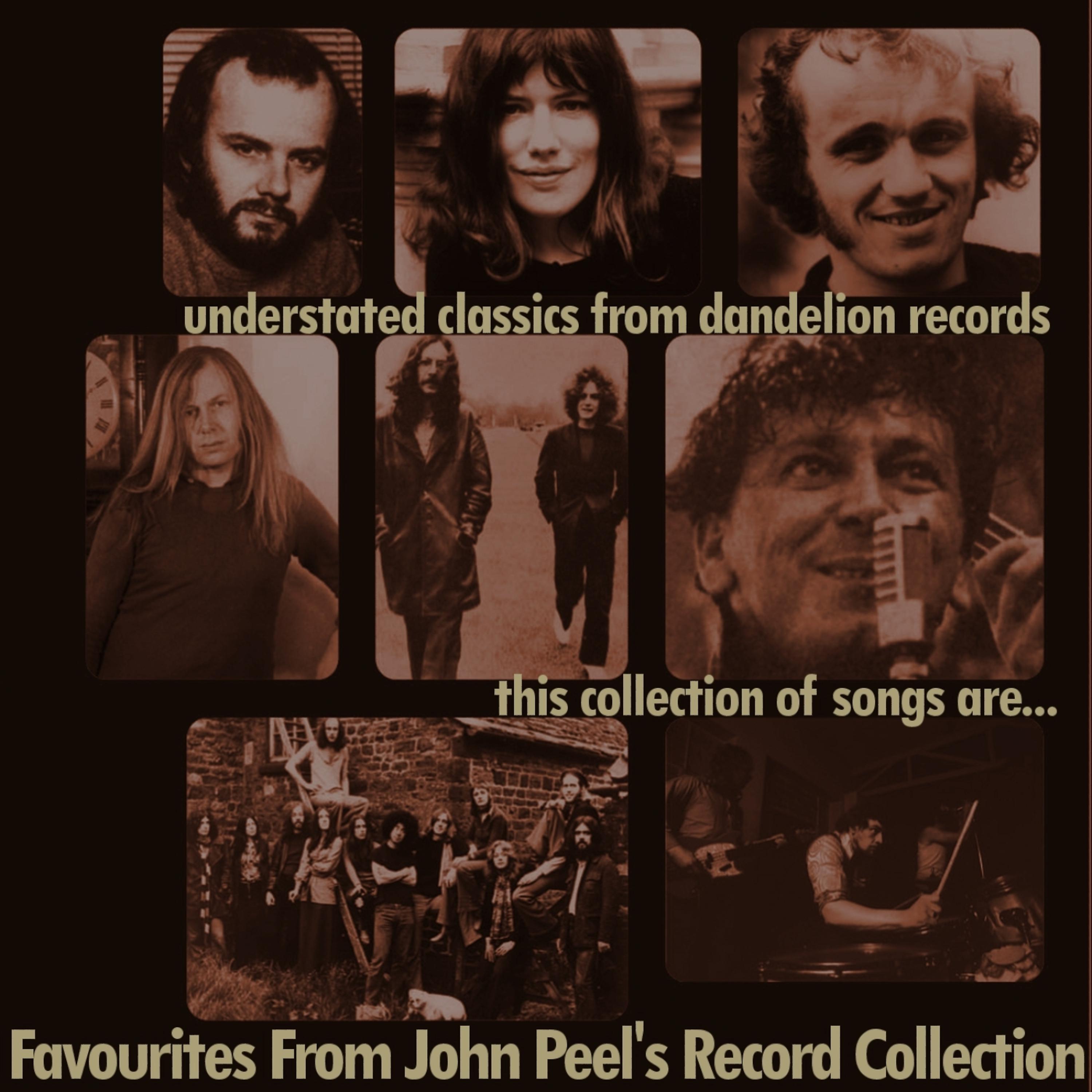 Постер альбома Favourites From John Peel's Record Collection
