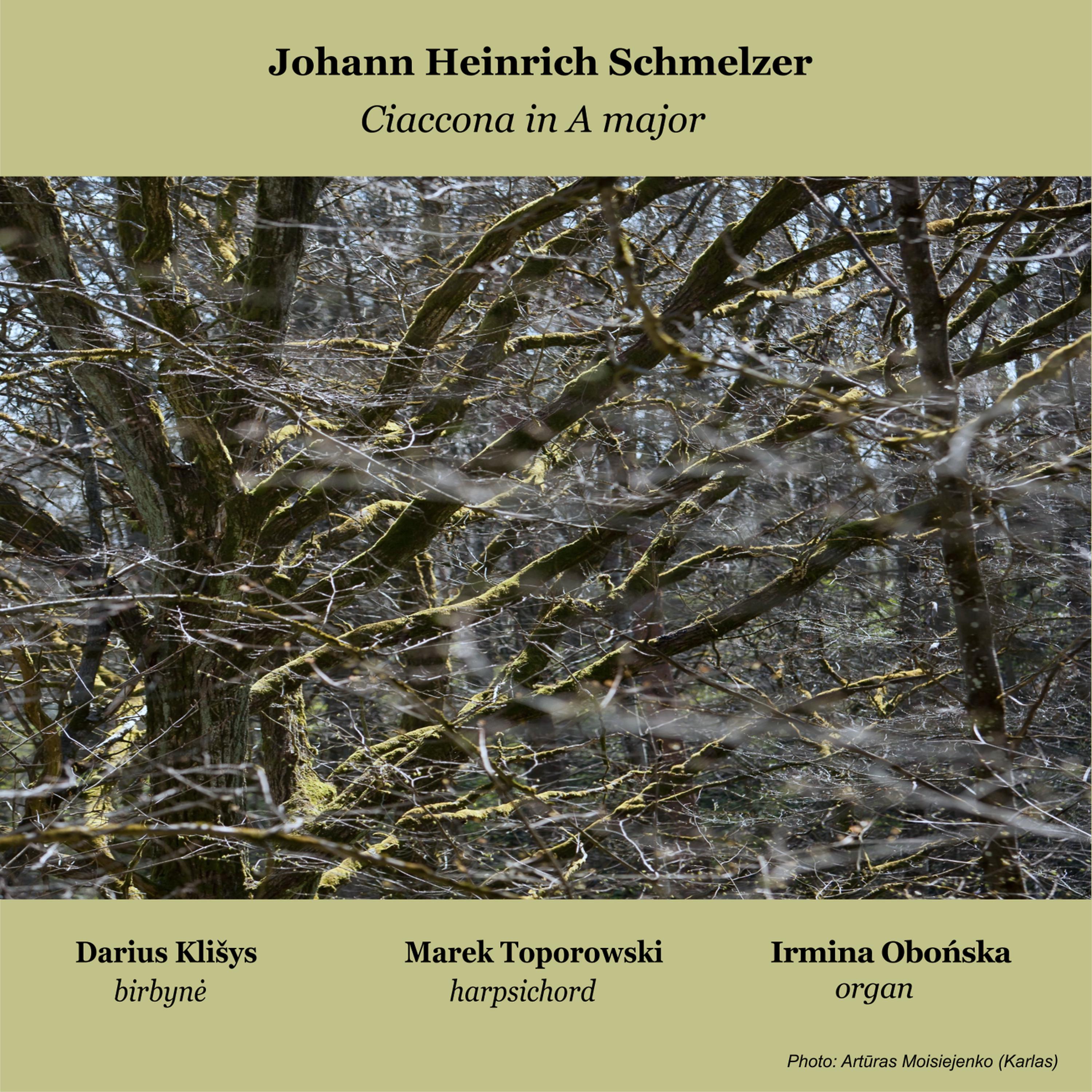 Постер альбома Johann Heinrich Schmelzer – Ciaccona