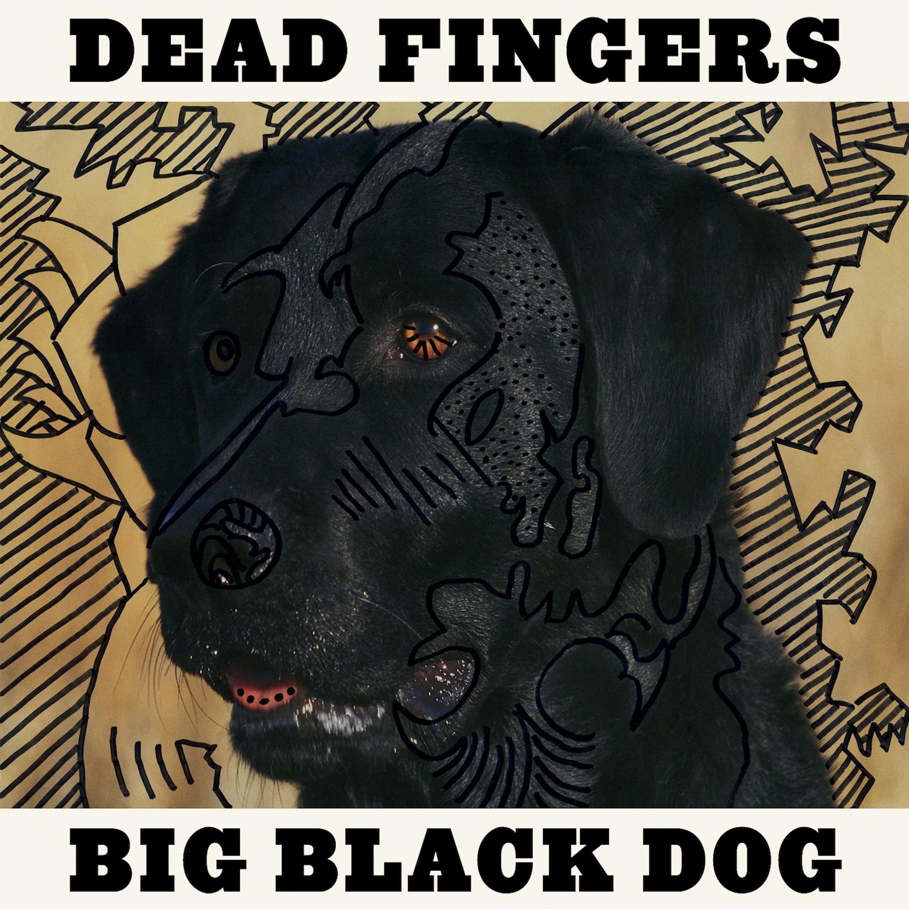 Постер альбома Big Black Dog