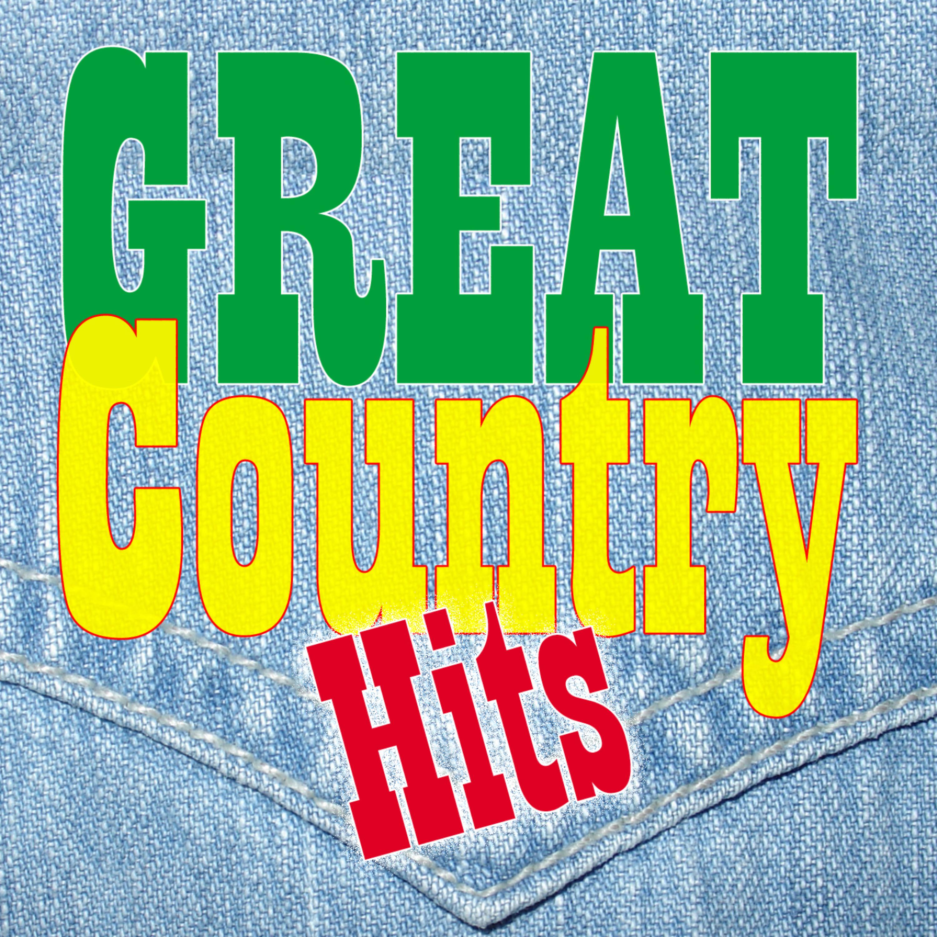 Постер альбома Great Country Hits 2CD Instrumental