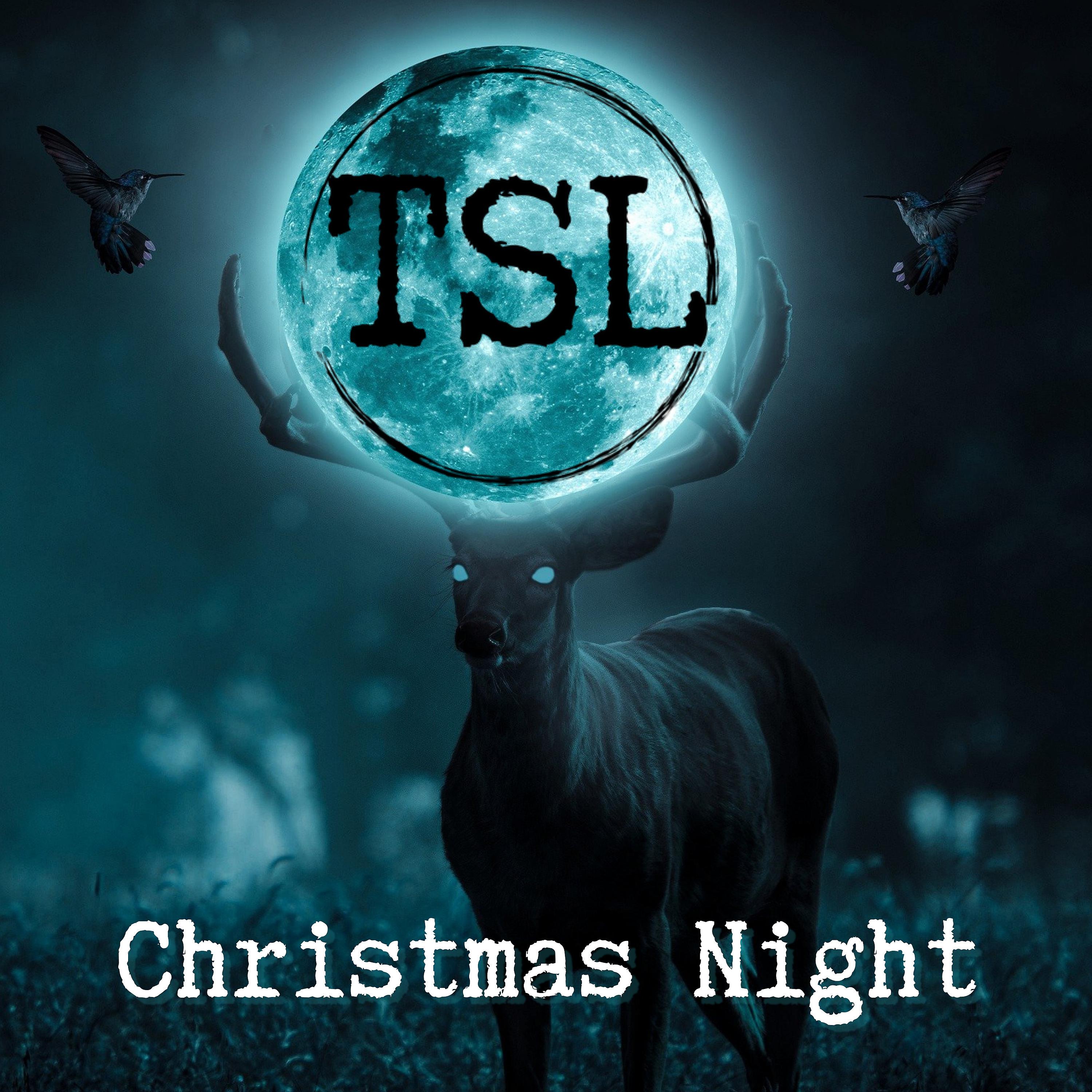 Постер альбома Christmas Night (feat. Peter Klett)