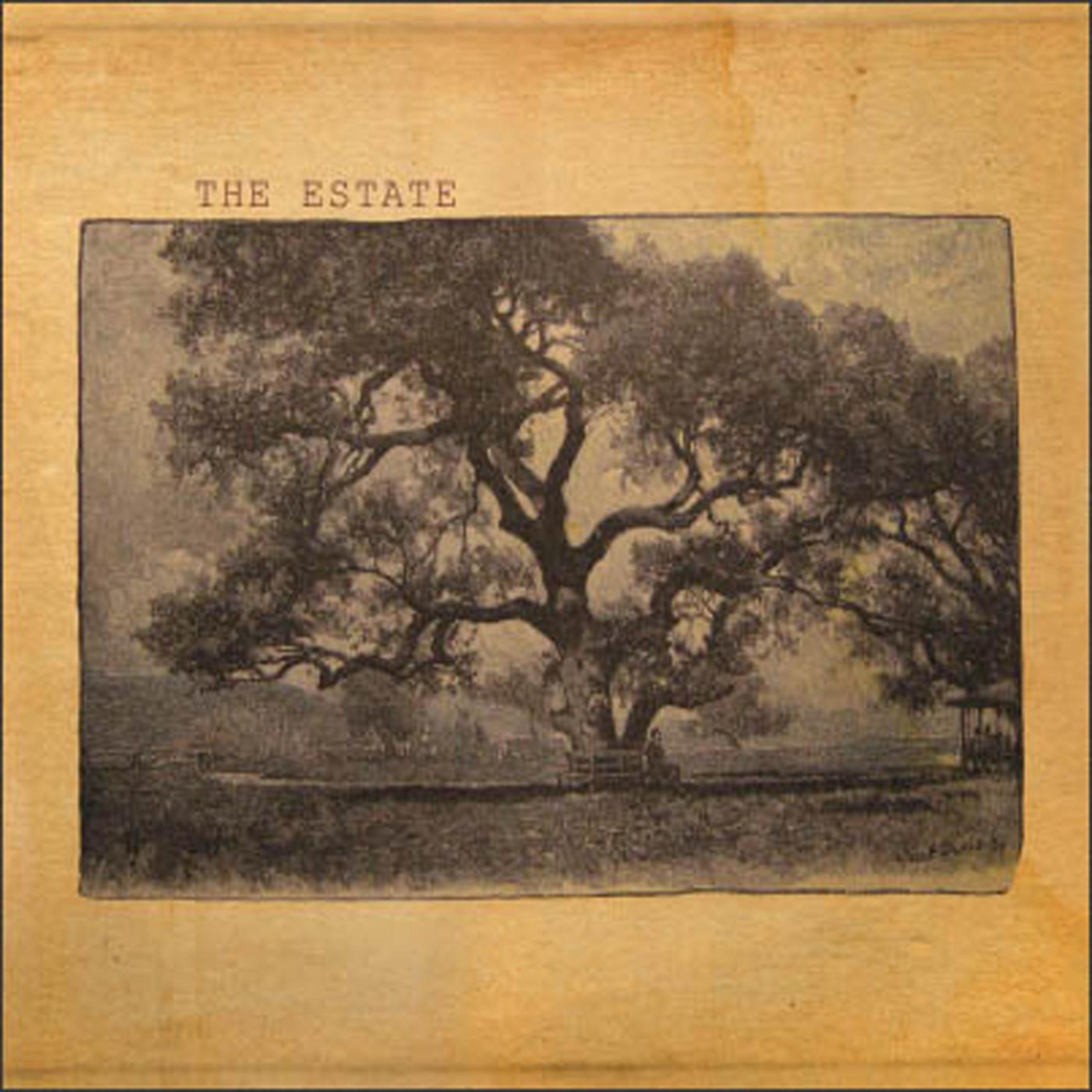 Постер альбома The Estate