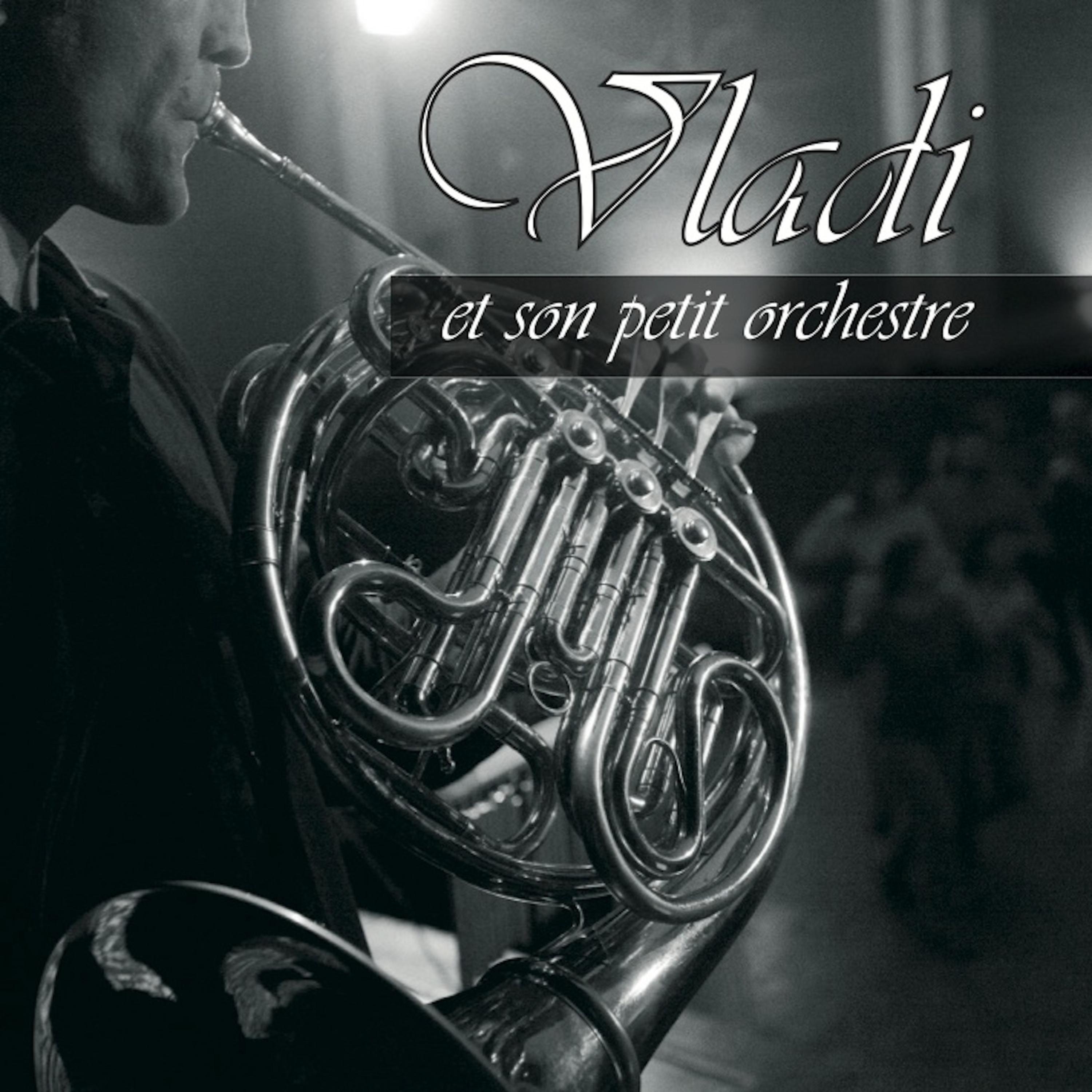 Постер альбома Vladi et son petit orchestre