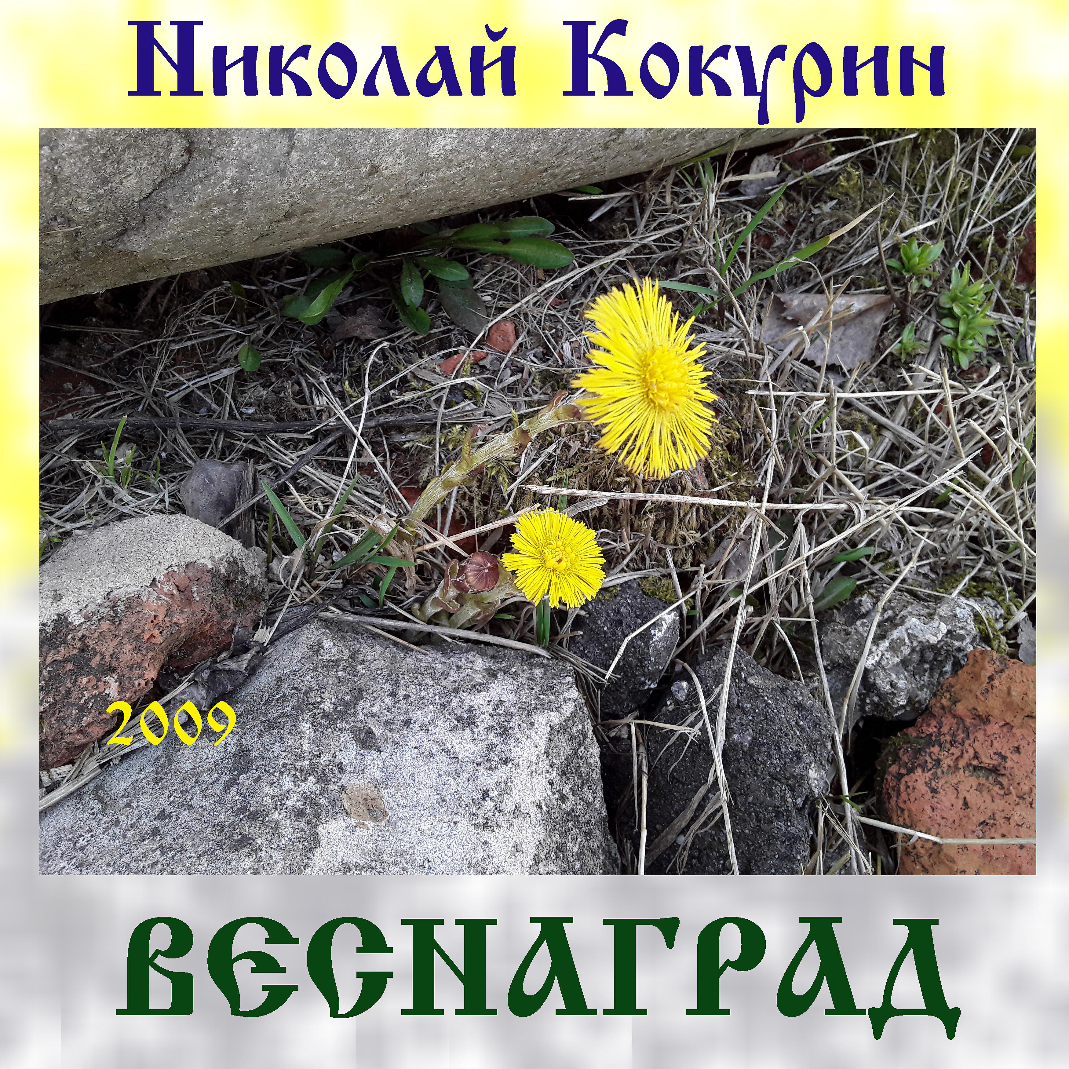 Николай Кокурин - Лук-чеснок