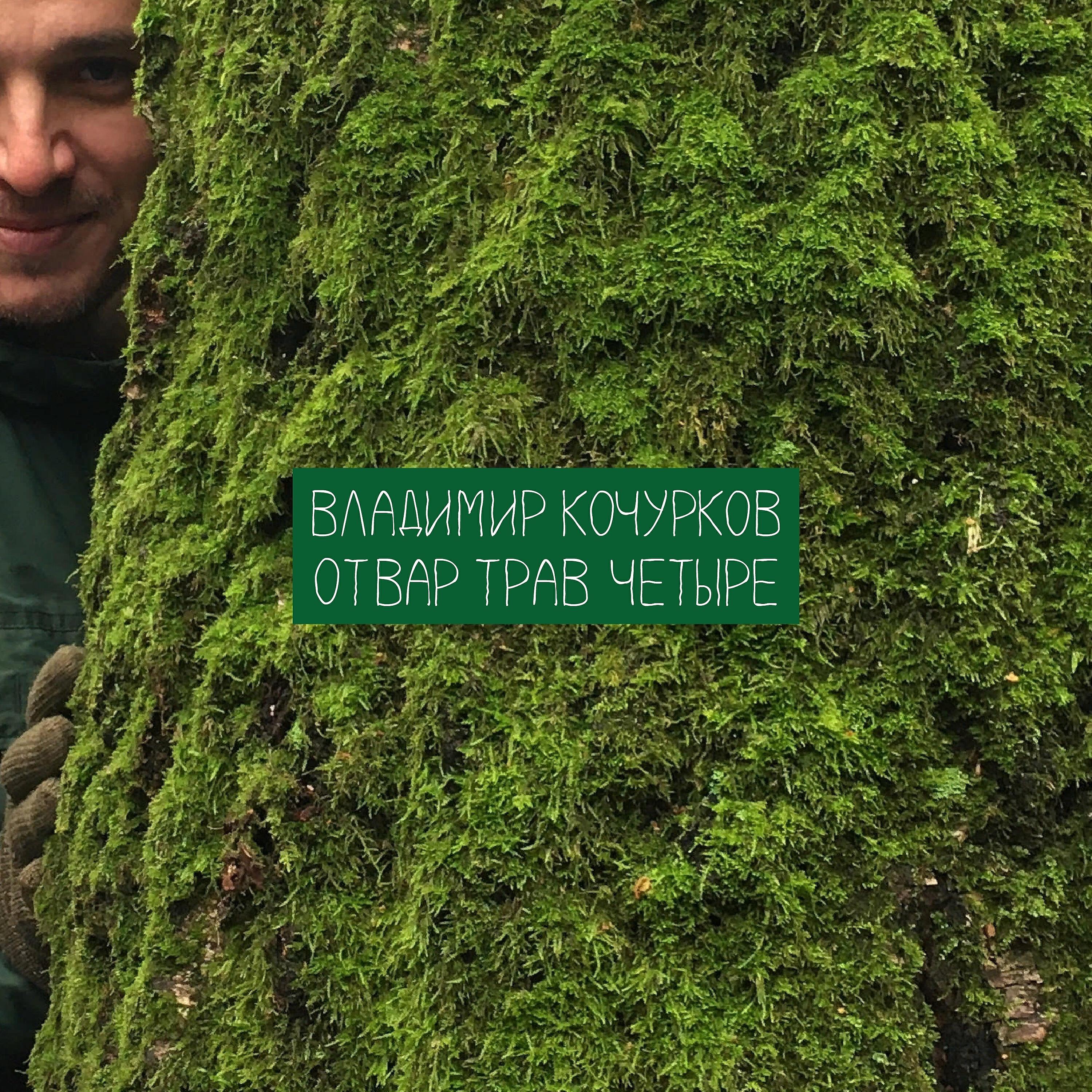 Владимир Кочурков - Мать-и-мачеха