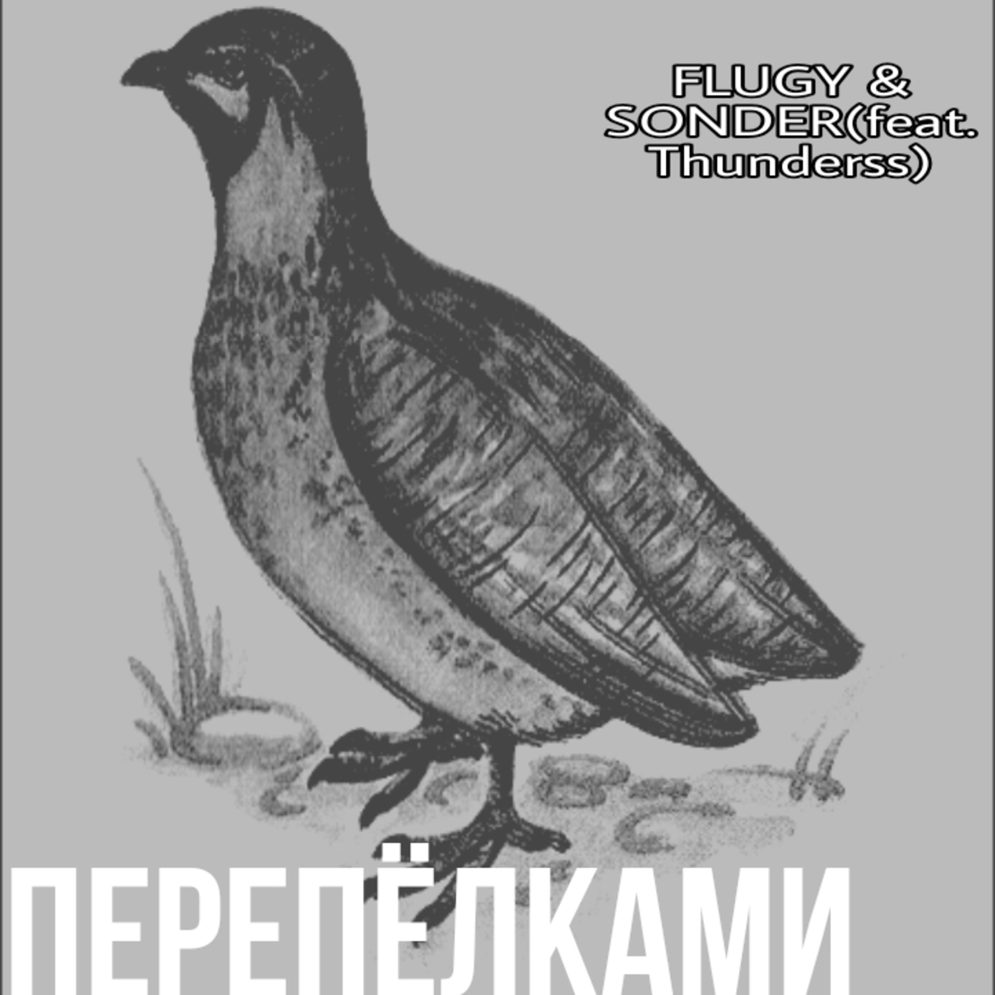 Постер альбома Перепёлками (feat. Thunderss)