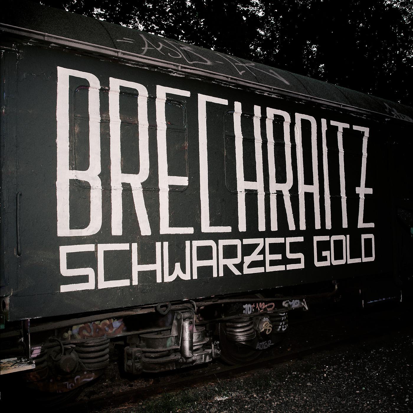 Постер альбома Schwarzes Gold