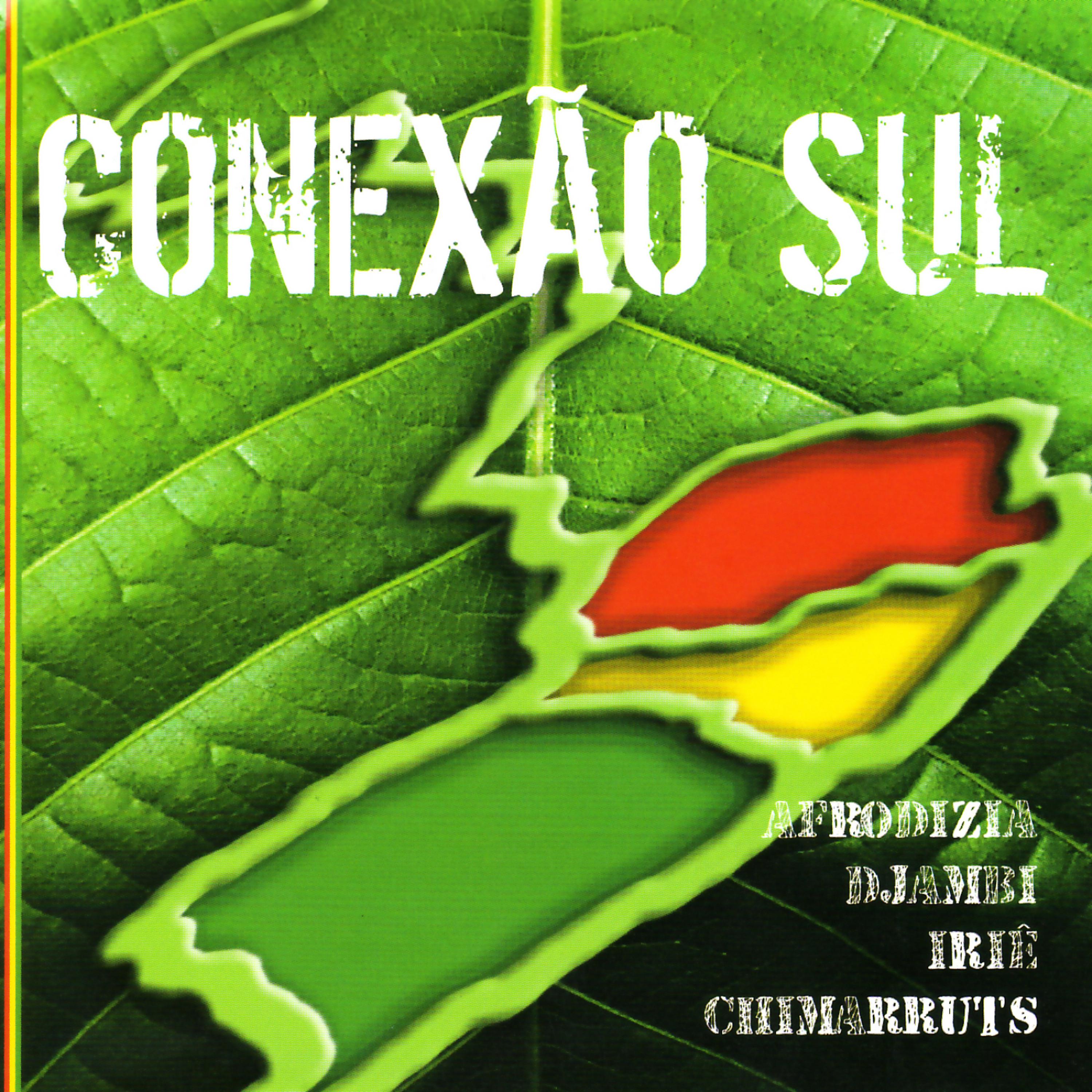 Постер альбома Conexão Sul