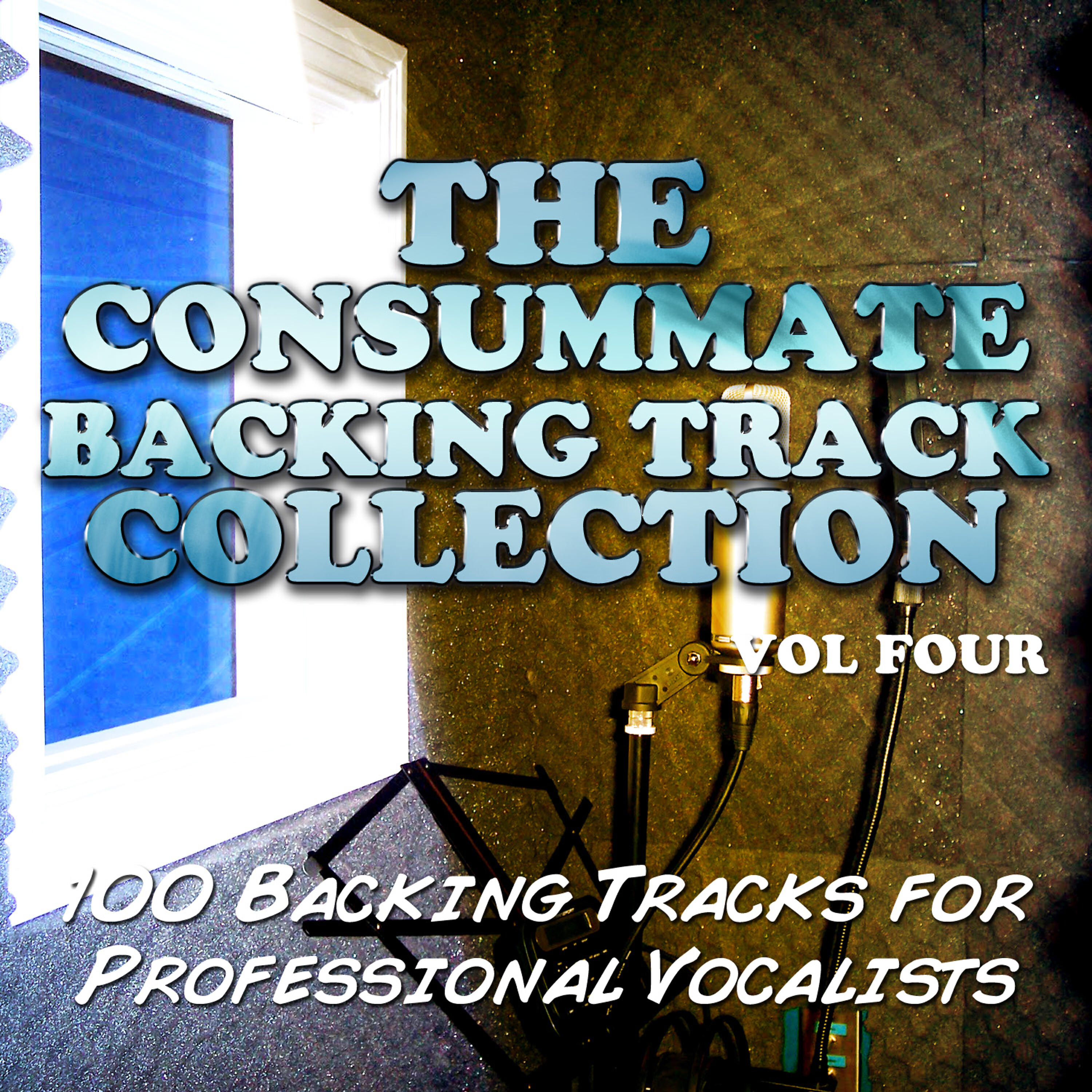 The Backing Track Extraordinaires - The Way I Am (Originally Performed by Eminem) [Backing Track]