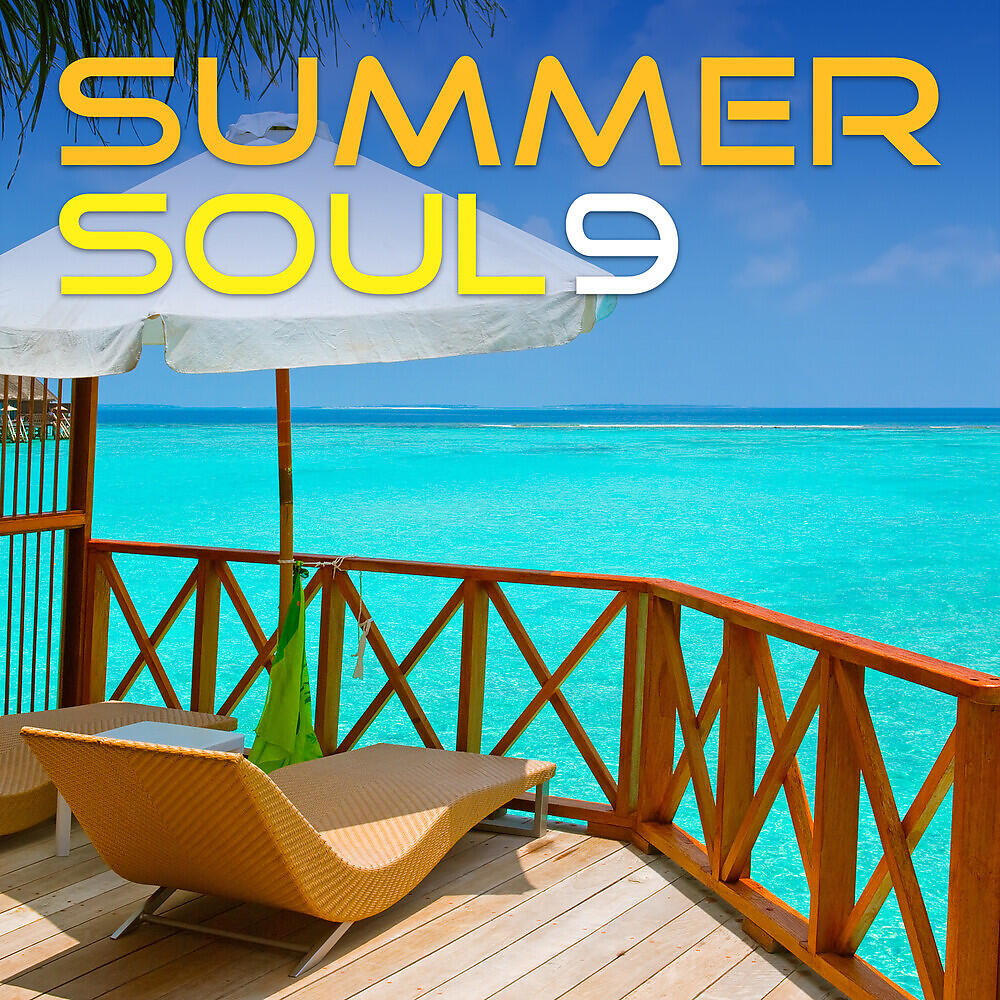 Drizabone Soul Family - Never Gonna Stop The Groove