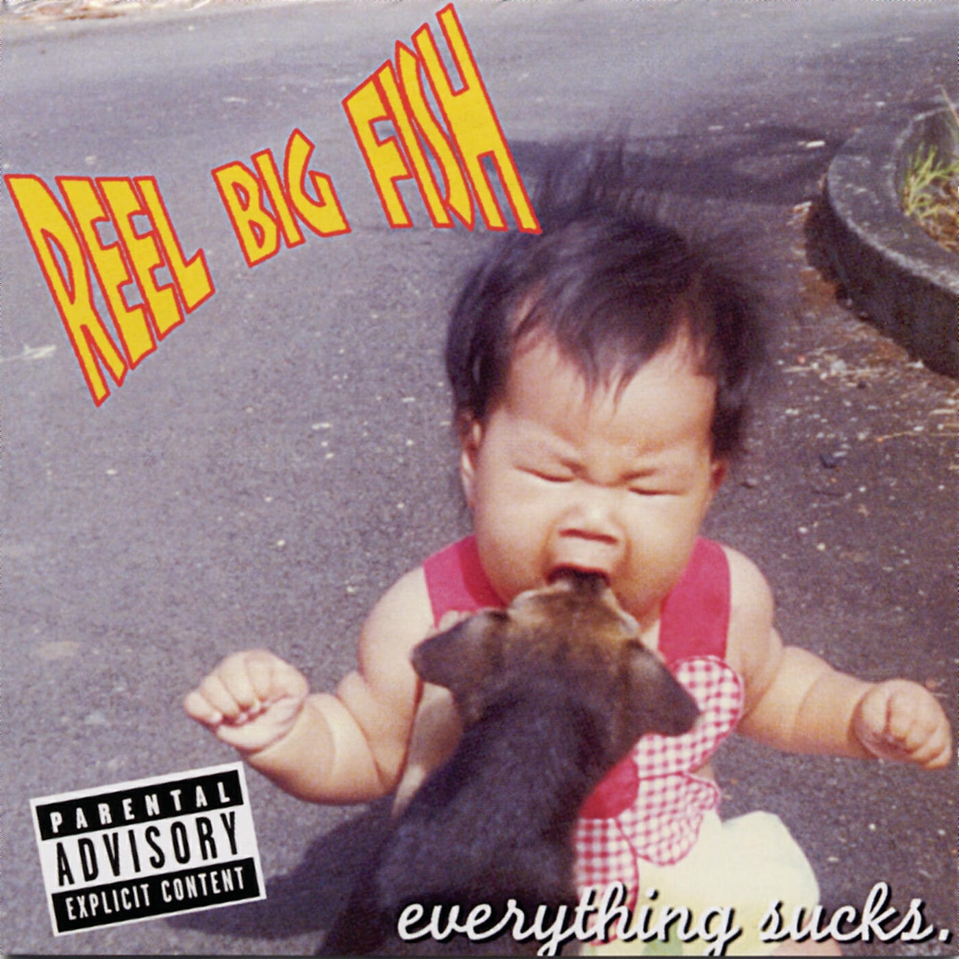 Reel Big Fish - Snoop Dog, Baby
