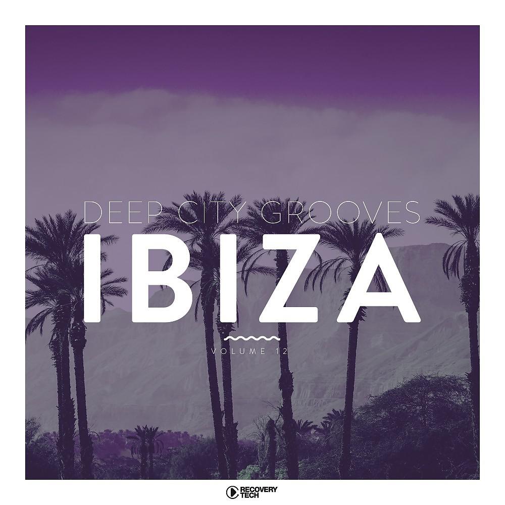 Постер альбома Deep City Grooves Ibiza, Vol. 12