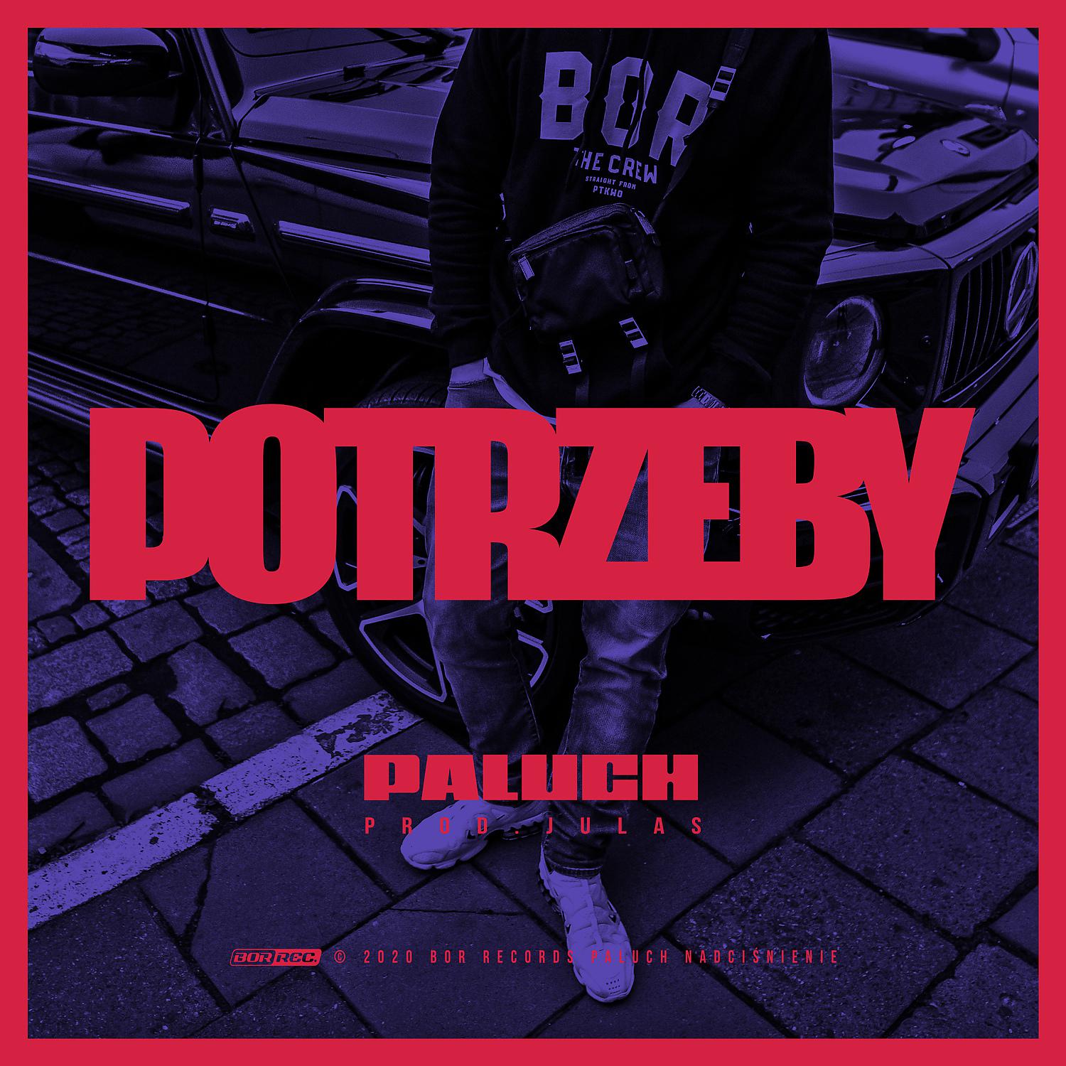 Постер альбома Potrzeby (stopa bas)