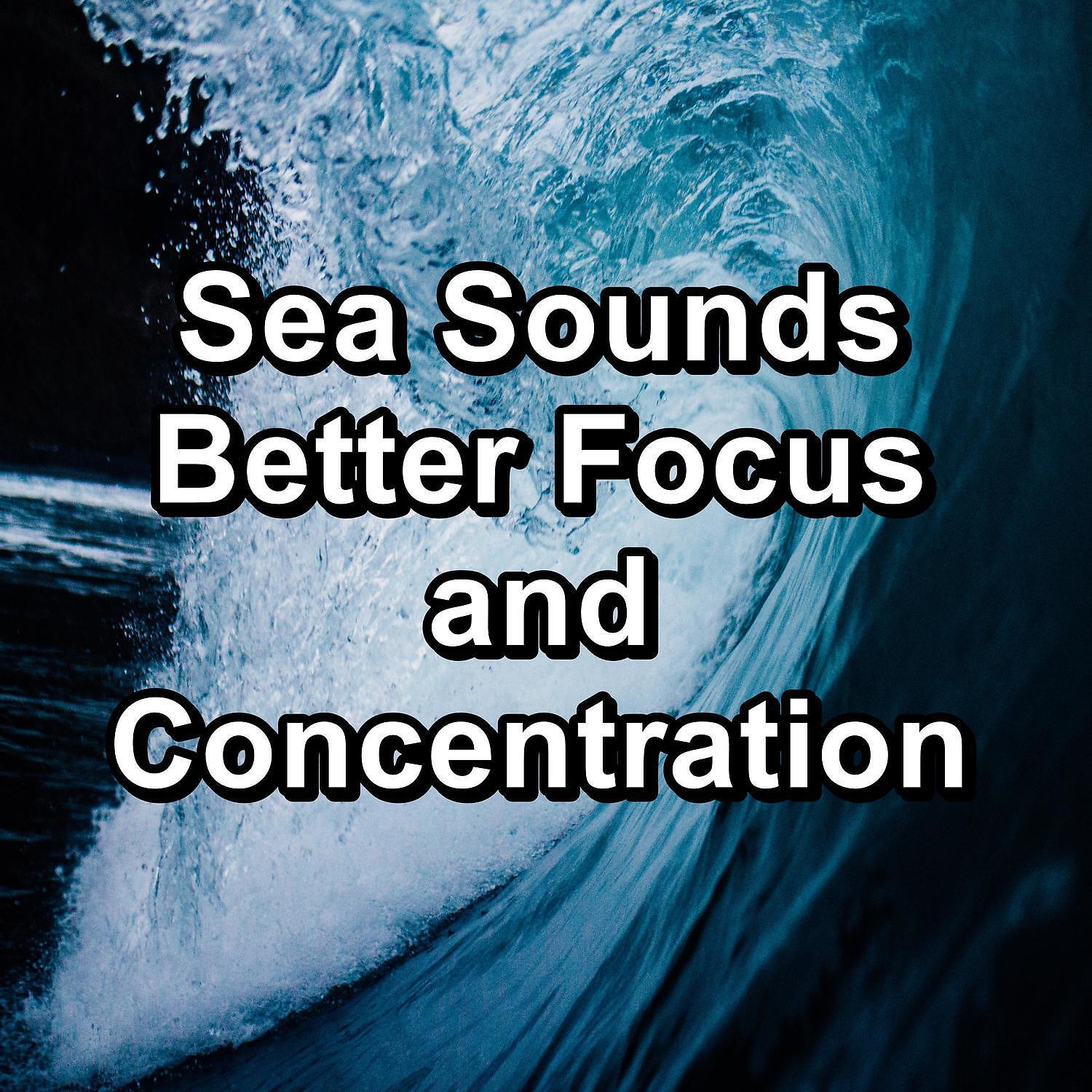 Calming Waves - Winds and Waves Earphones Sound