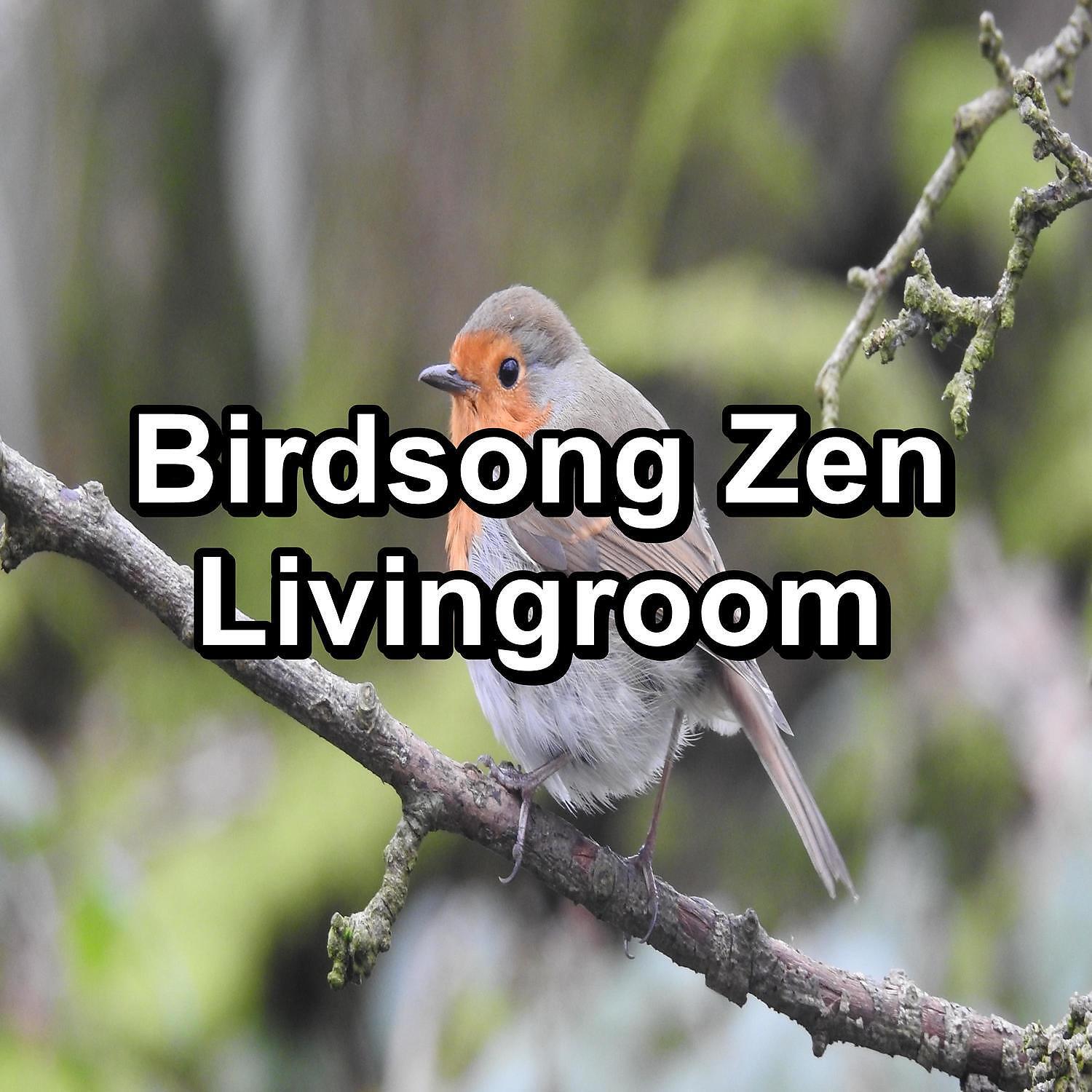 Spa - Rest Bird Sounds Anti Stress Relaxing and Calming