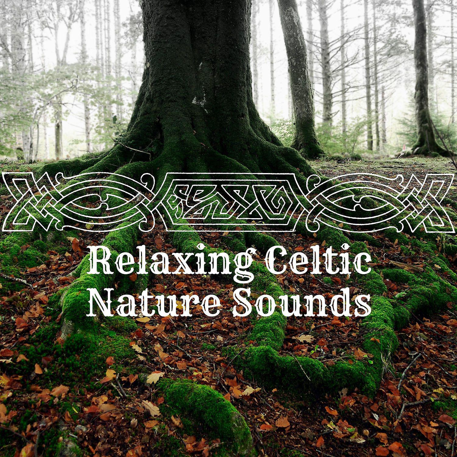 Постер альбома Relaxing Celtic Nature Sounds