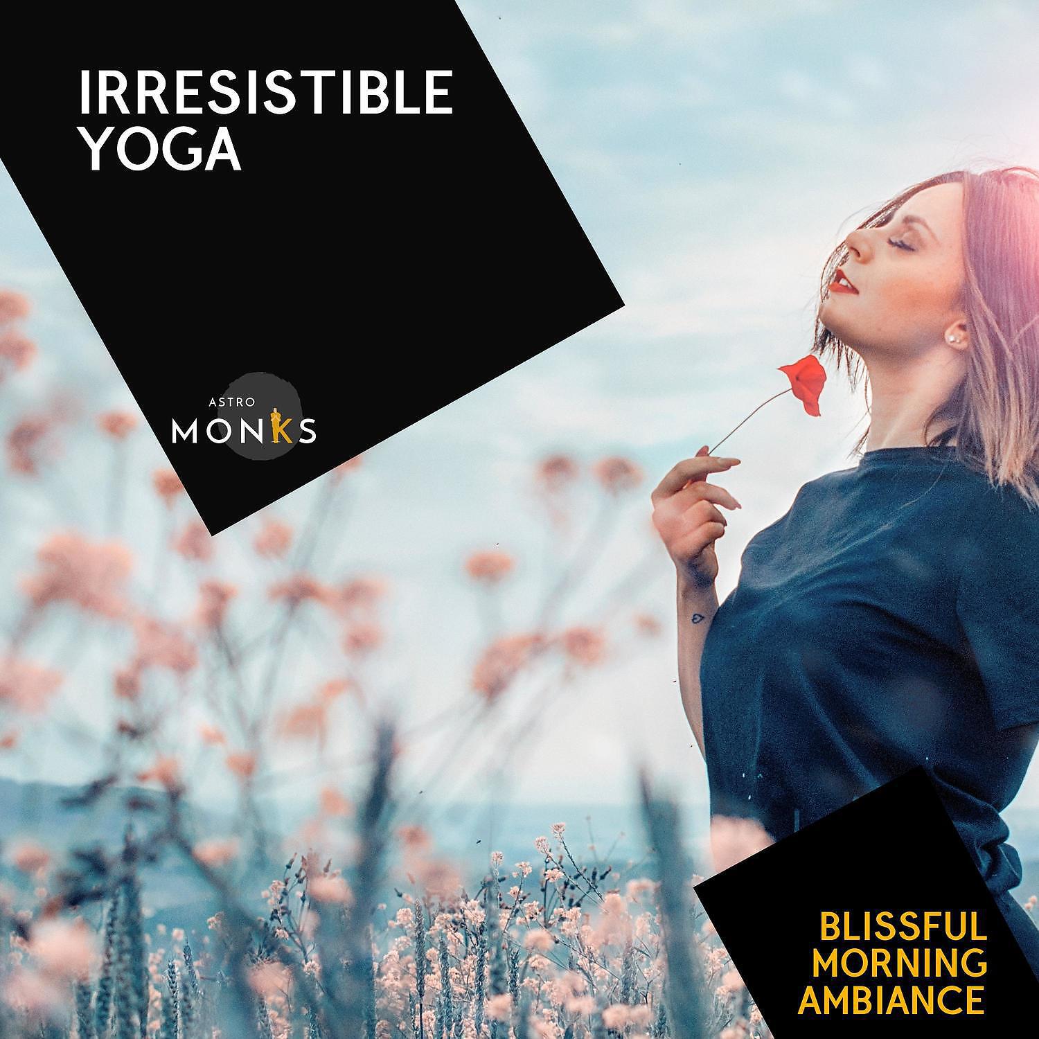 STEVEN PHILLIPS - Elated Blissful Bells