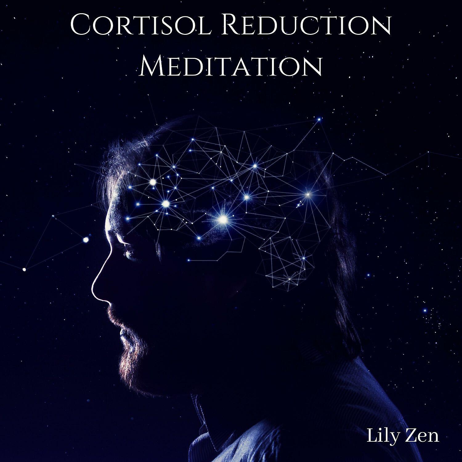 Lily Zen - Stress Relief Calm Oasis