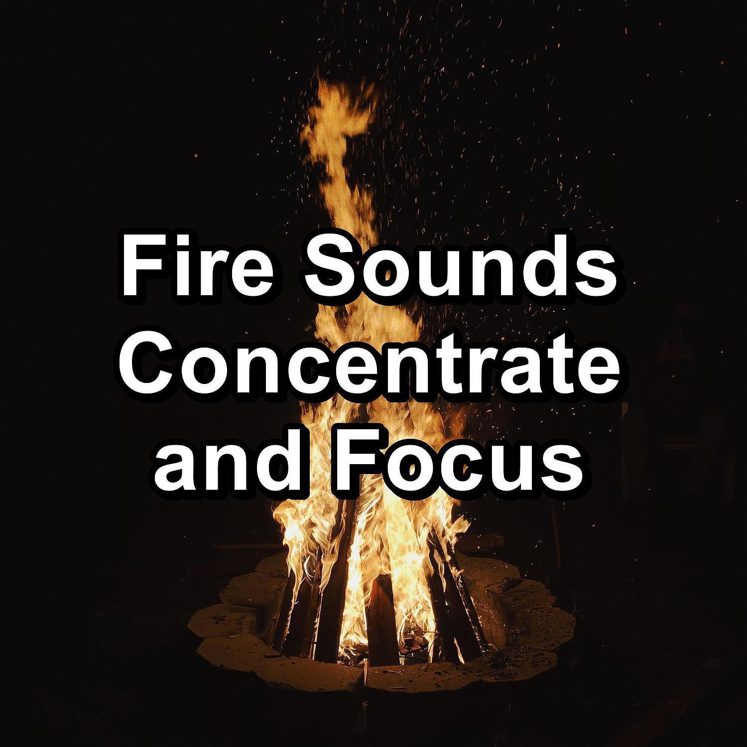 Постер альбома Fire Sounds Concentrate and Focus