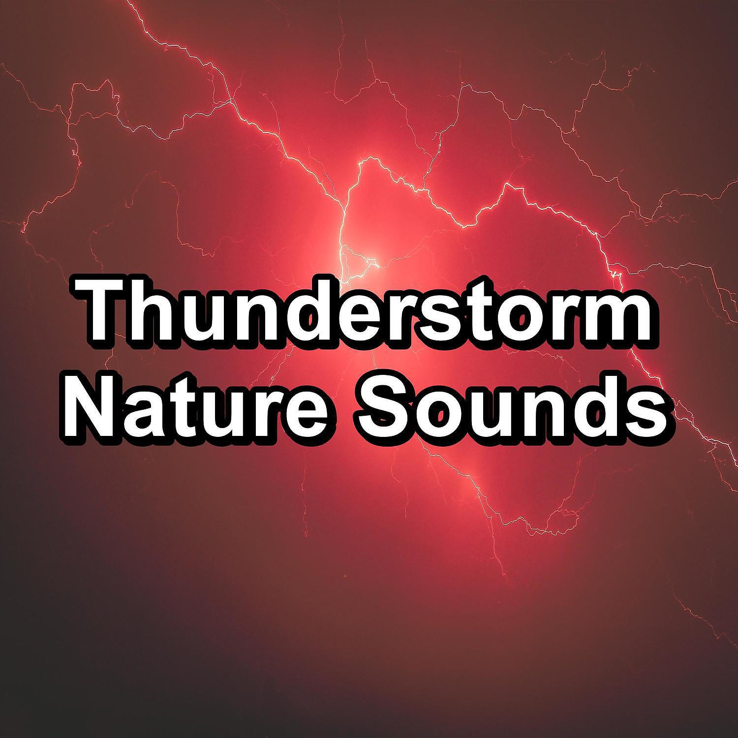 Relax Meditate Sleep - Rain Sound Droplets For Good Rest