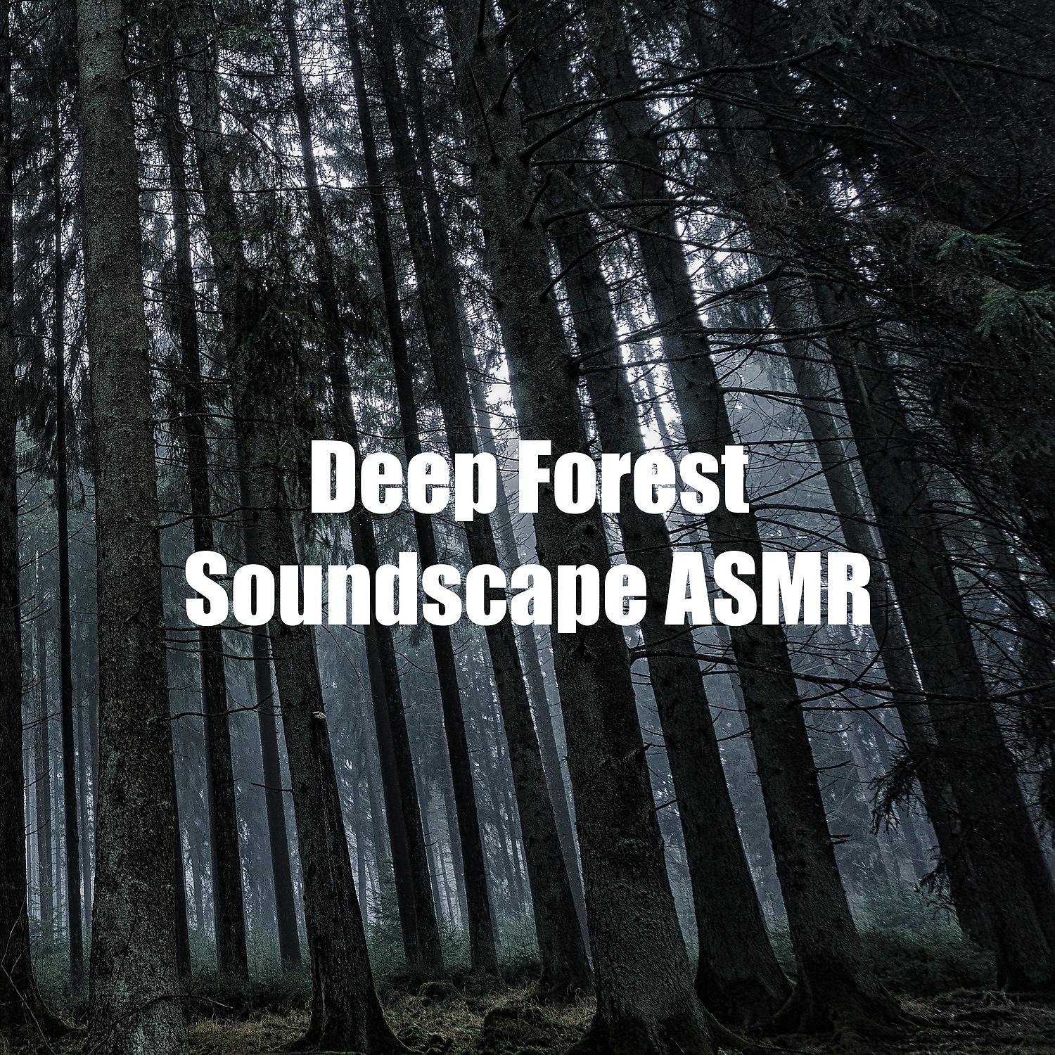Постер альбома Deep Forest Soundscape ASMR