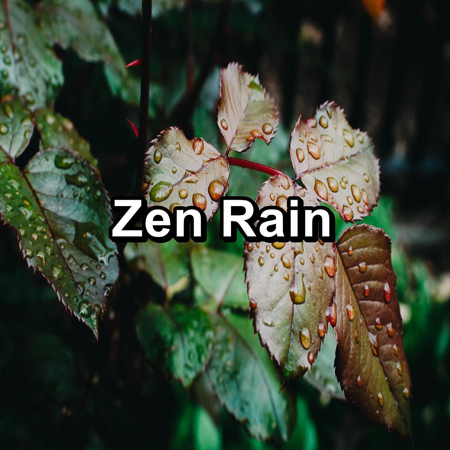 Rain Sounds & White Noise - Forest Rain With Ocean Waves To Relax and Loop for 8 Hours