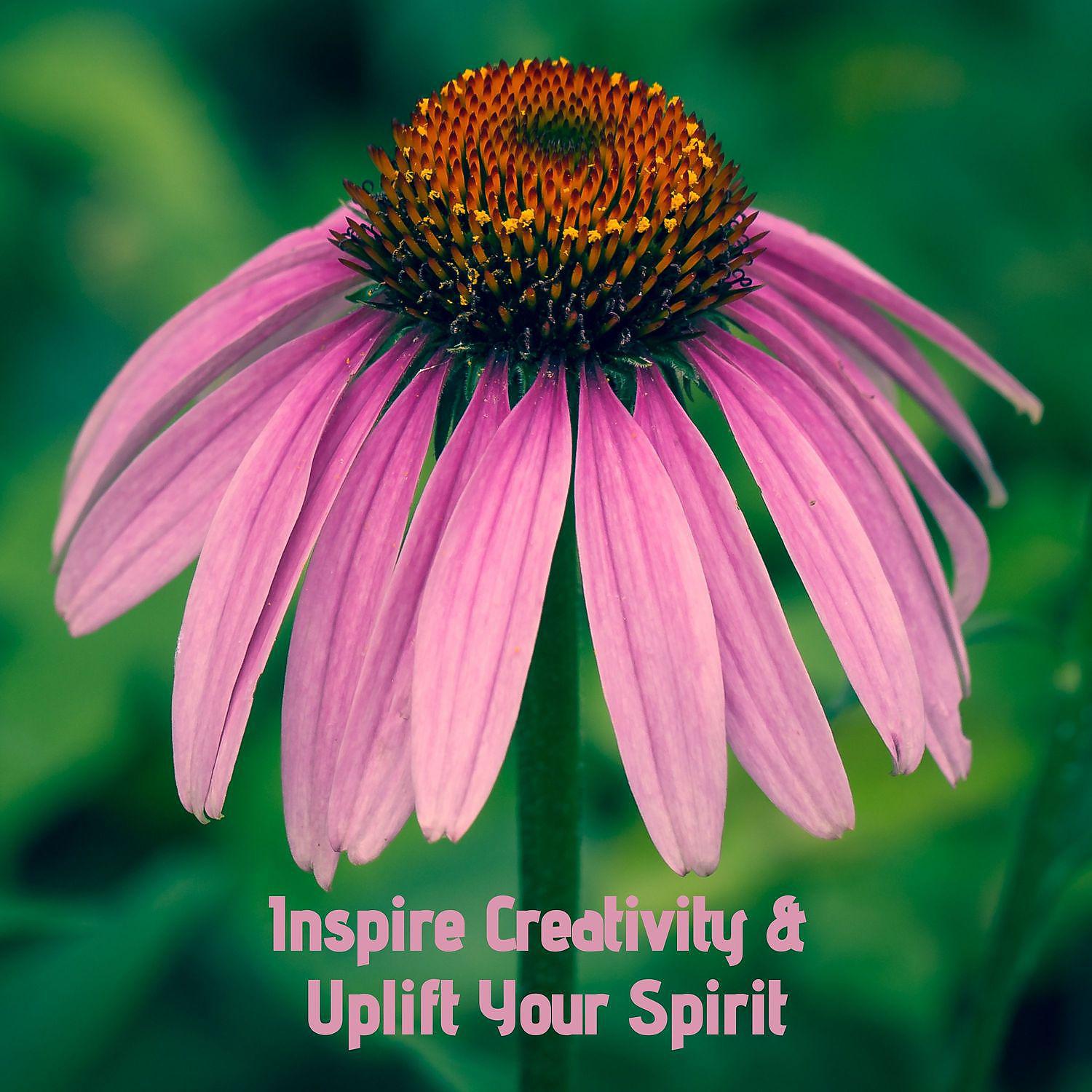 Постер альбома Inspire Creativity & Uplift Your Spirit