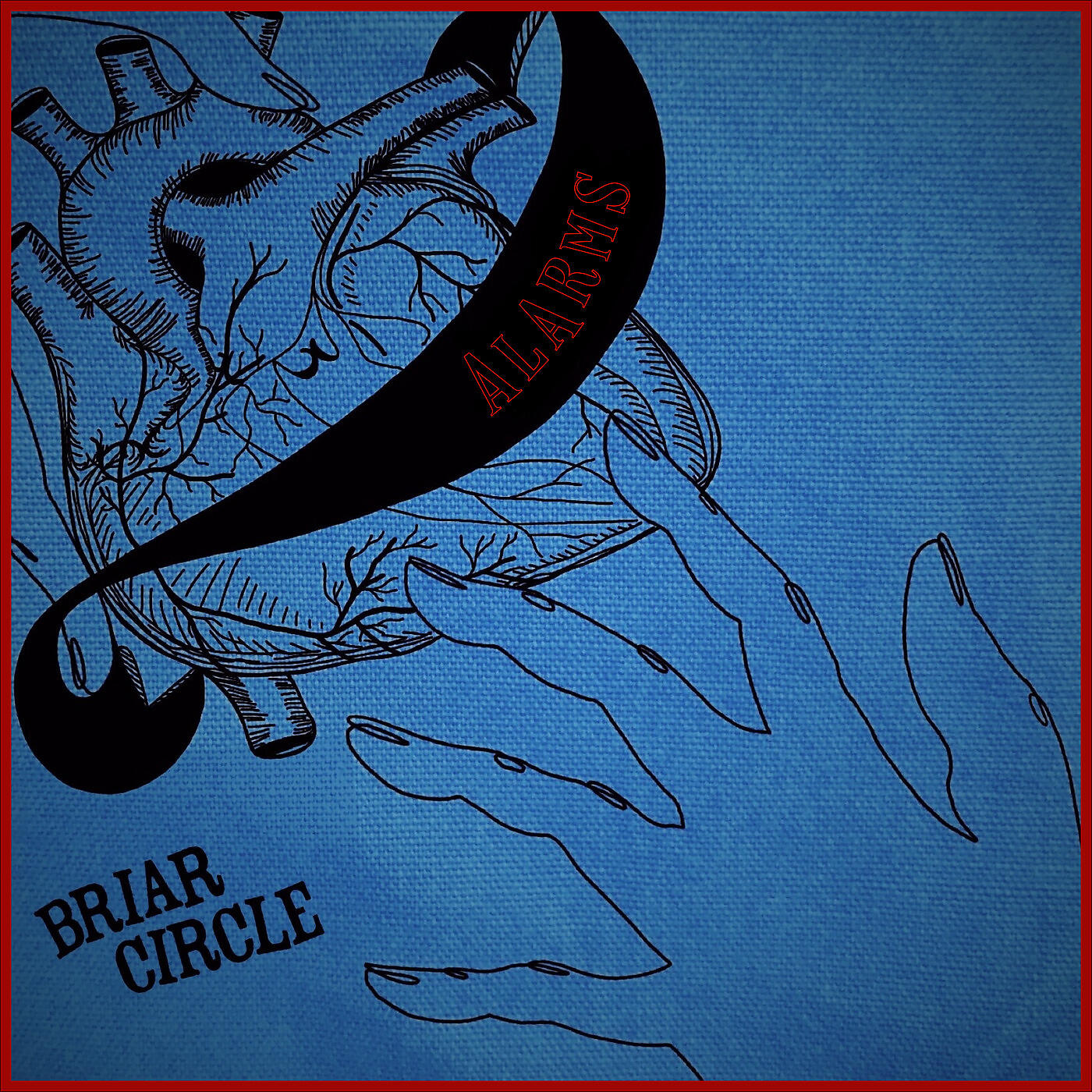 Briar Circle - Alarms