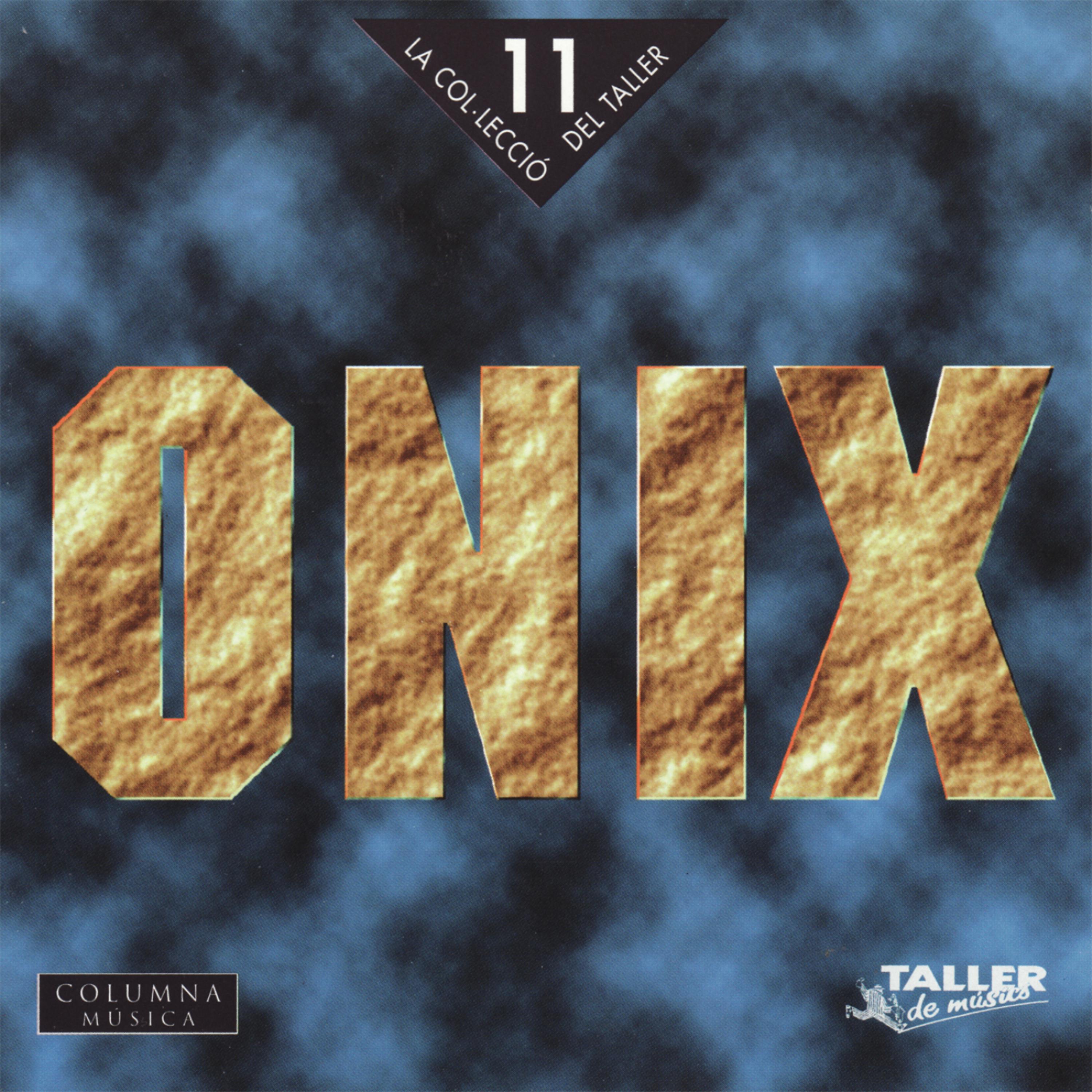 Постер альбома Onix