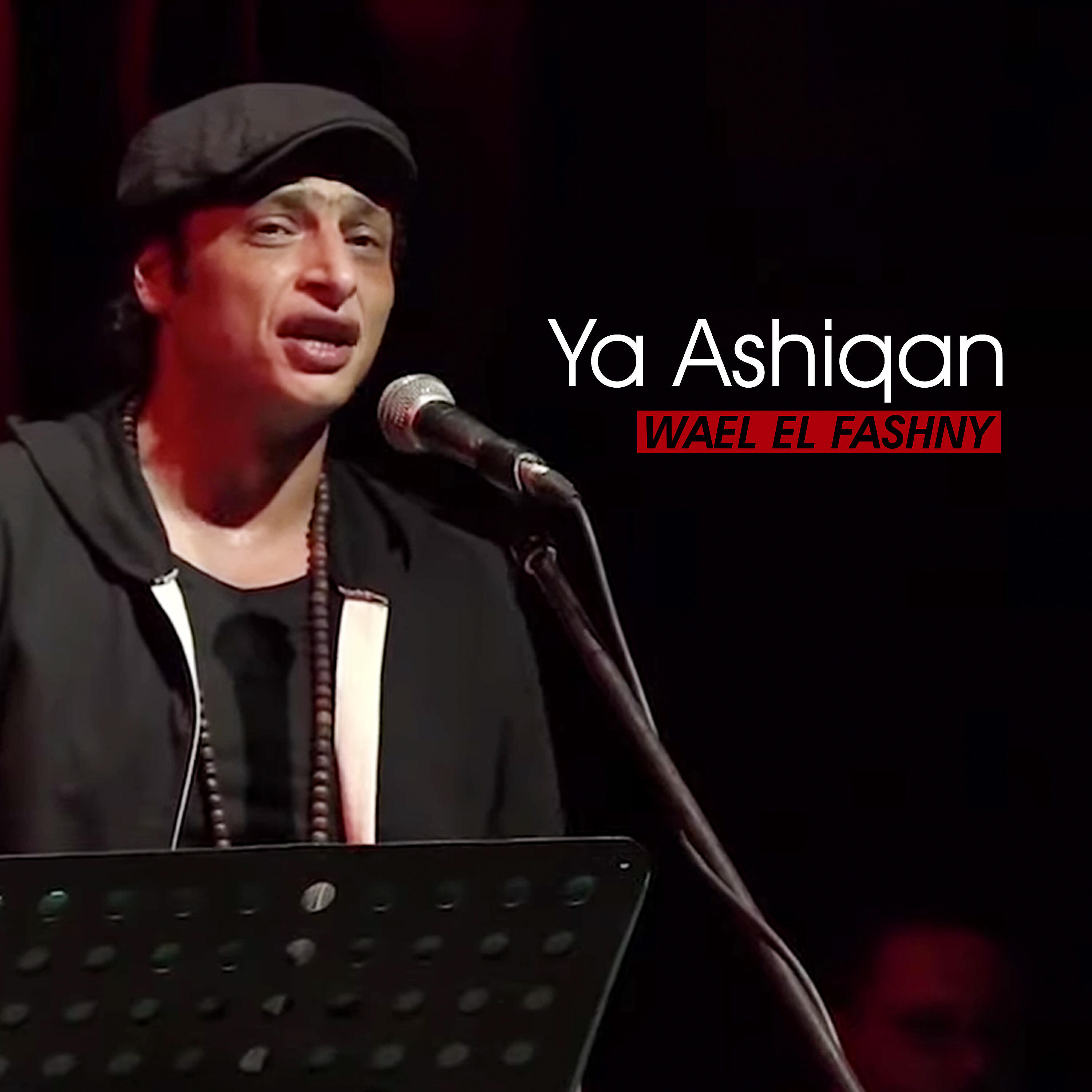 Wael El Fashny - يا عاشقا (Live)