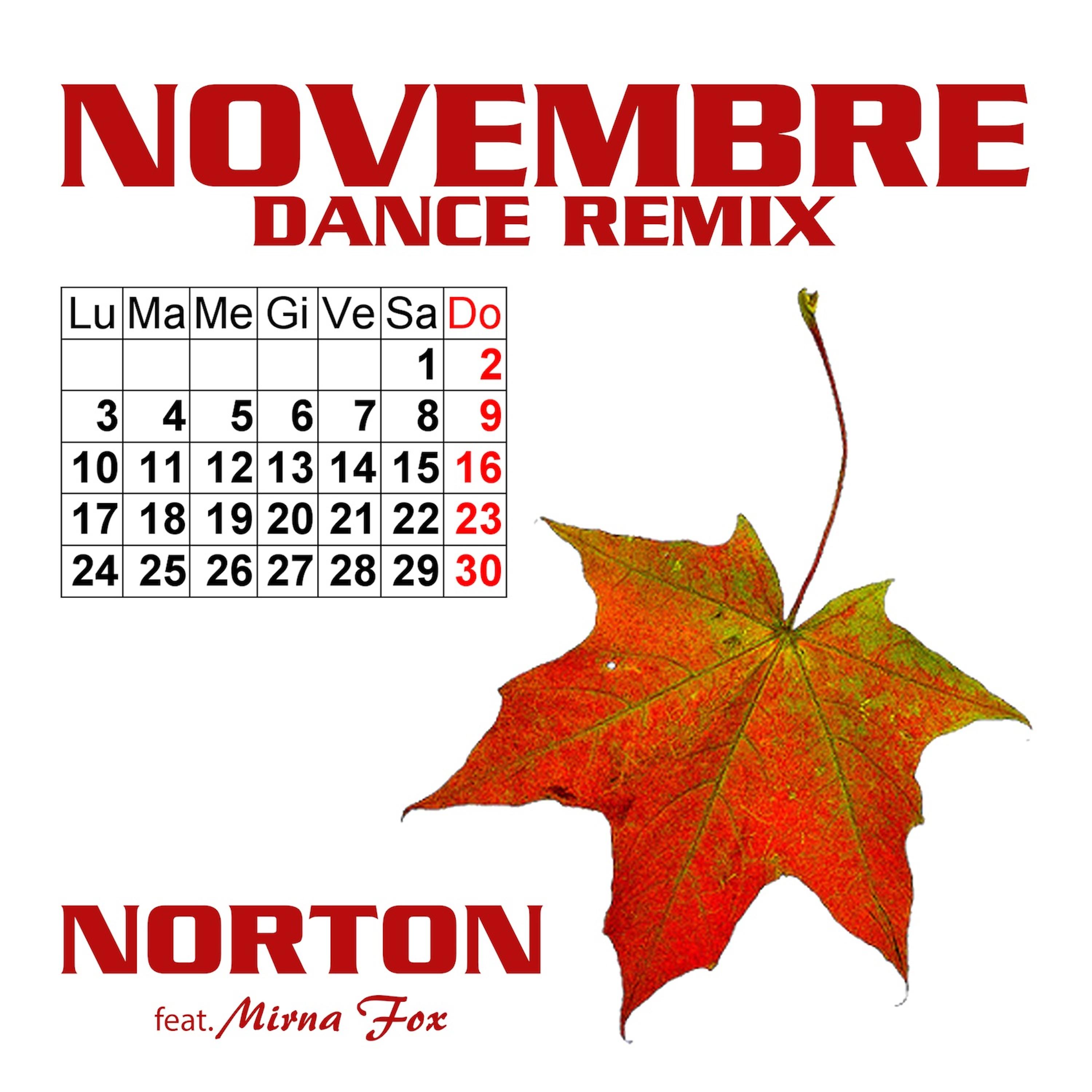 Постер альбома Novembre Dance Remix