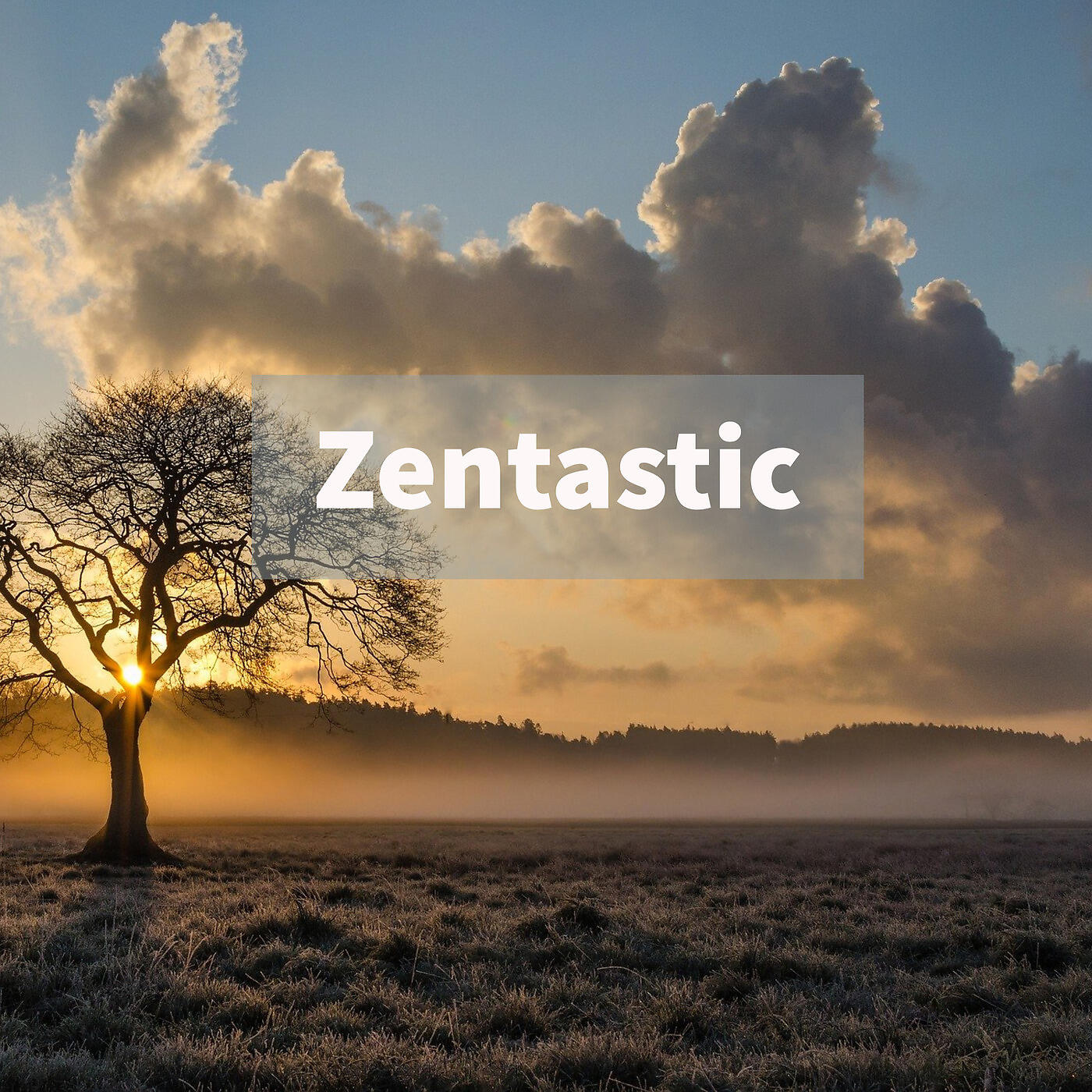 Zentastic - Mind Shapes