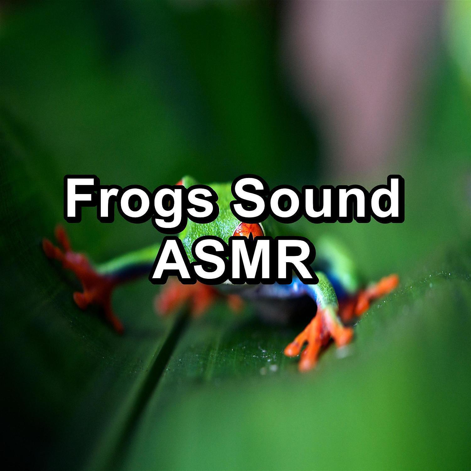 Nature Sound Series - Sound of Frogs Marsh Sounds