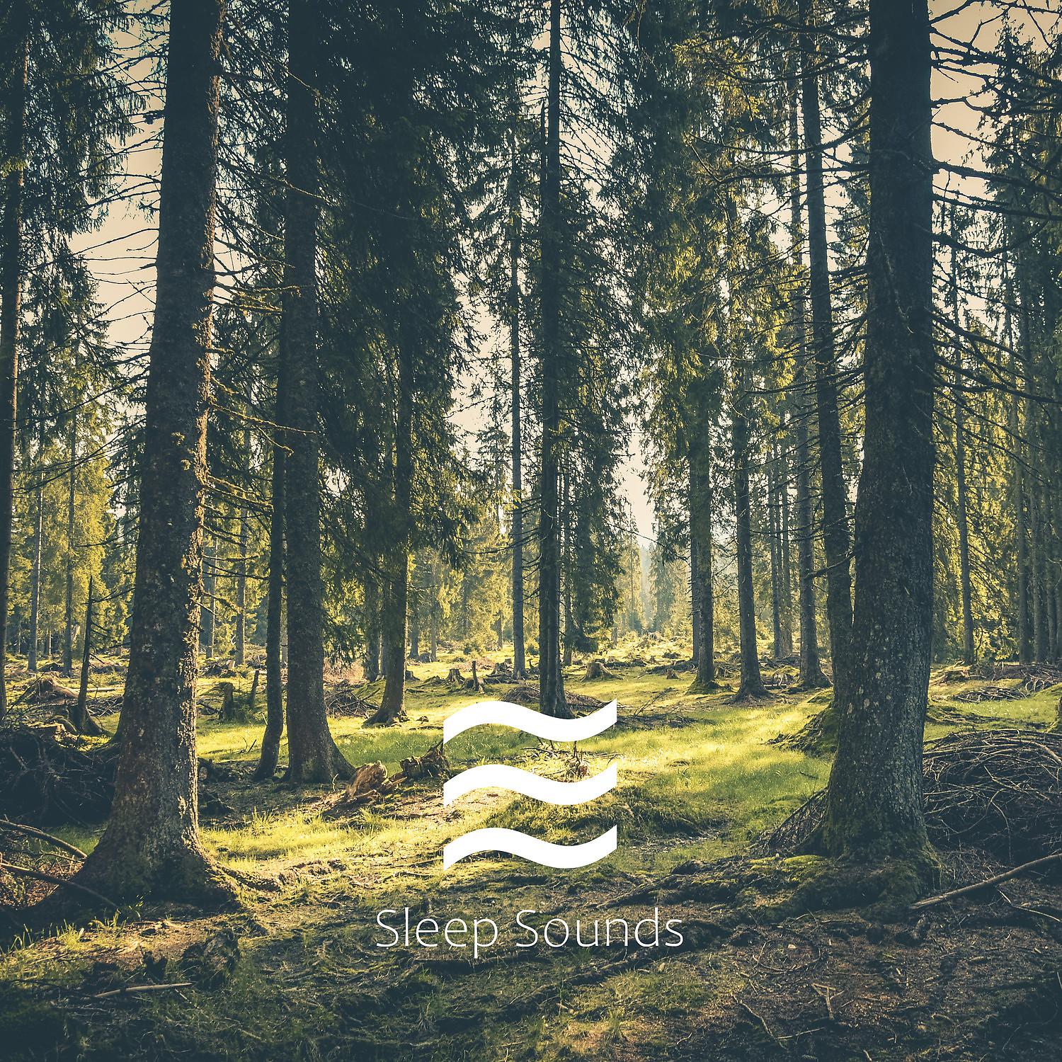 Cosy Forest Brown Soughs - Brown Deep Noises with Forest Ambient