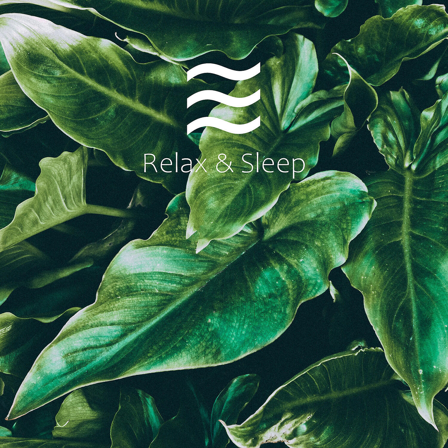 White Deep Noises - White Calm Soothing Shusher
