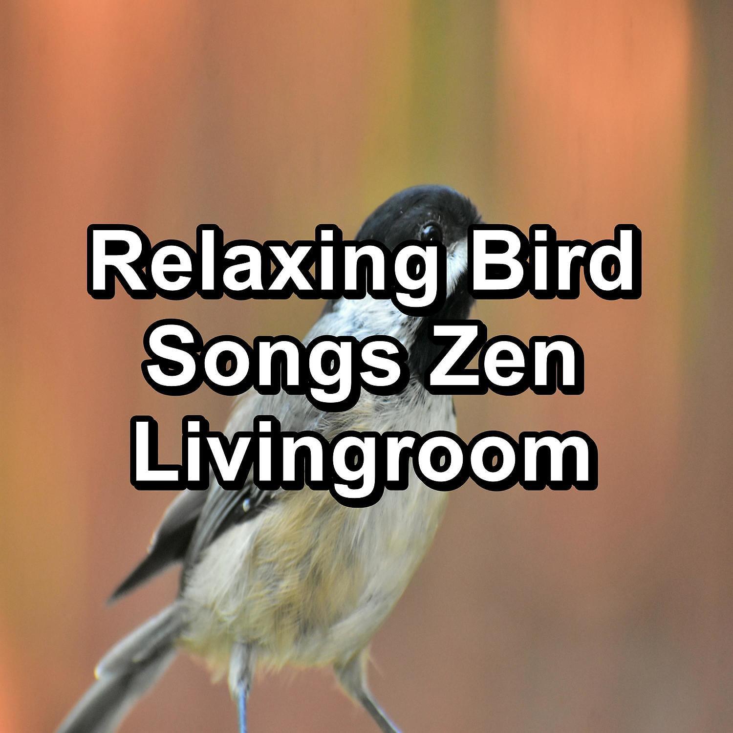 Nature Sounds Nature Music - Music from Birds Stress Relief To Loop for 10 Hours