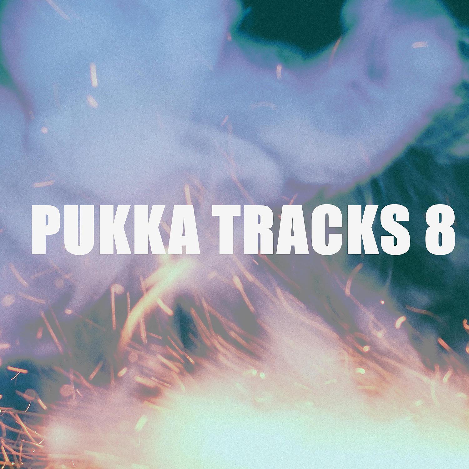 Постер альбома PUKKA TRACKS 8