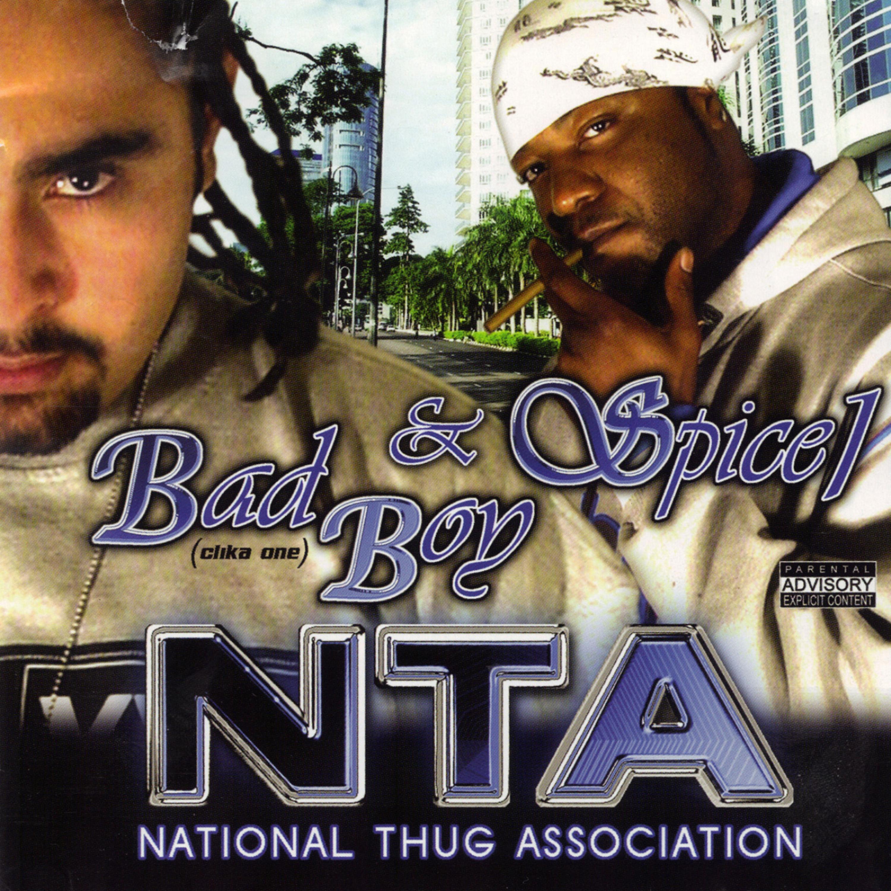 Постер альбома National Thug Association
