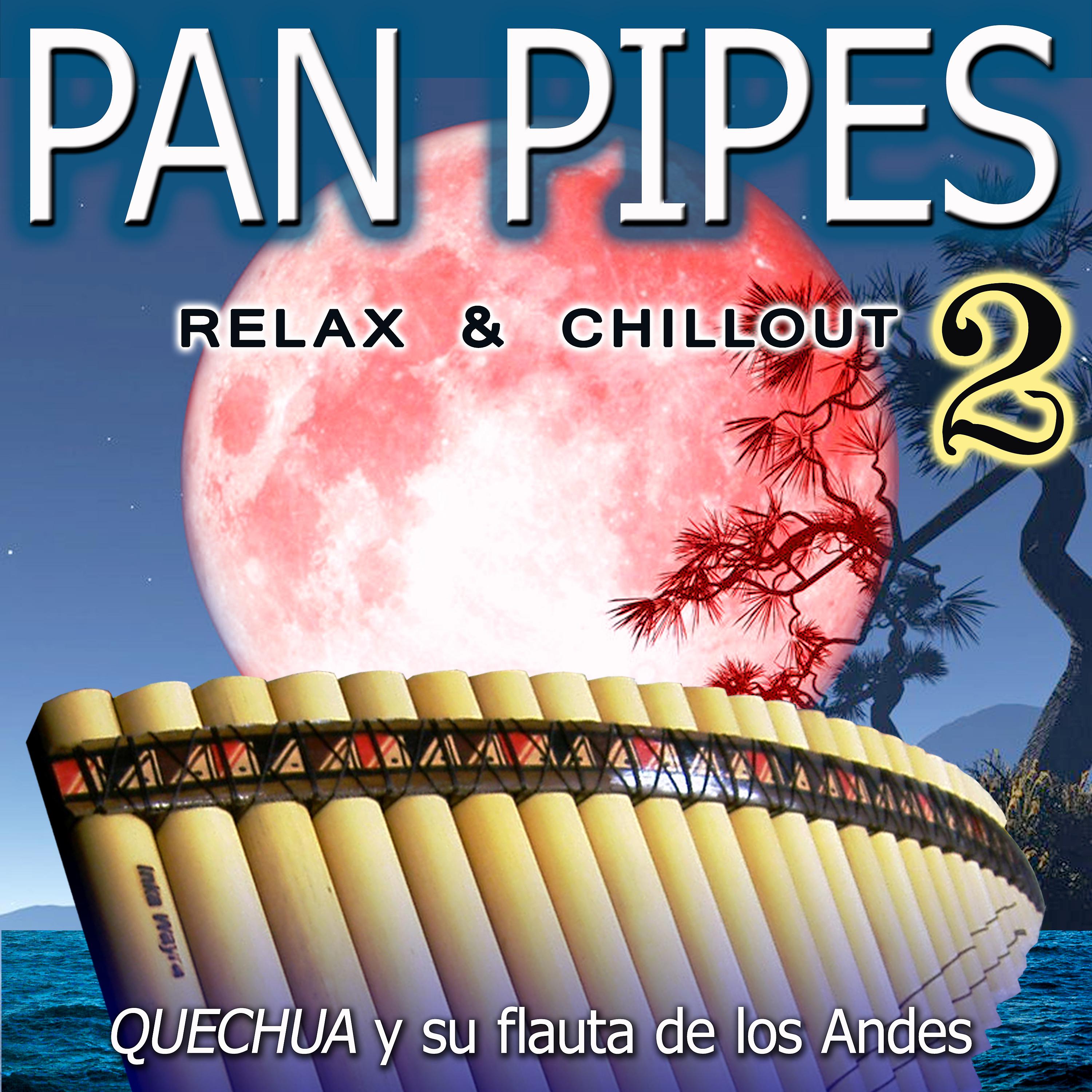 Постер альбома Pan Pipes 2: Relax & Chillout