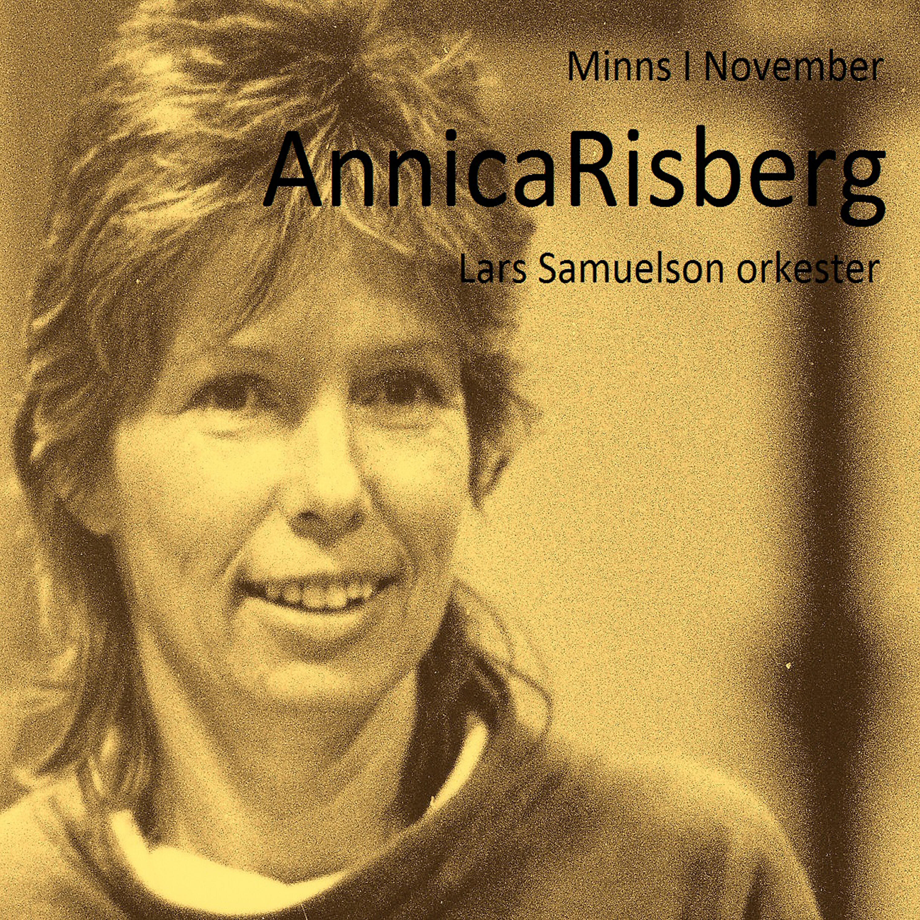 Annica Risberg - Minns i november
