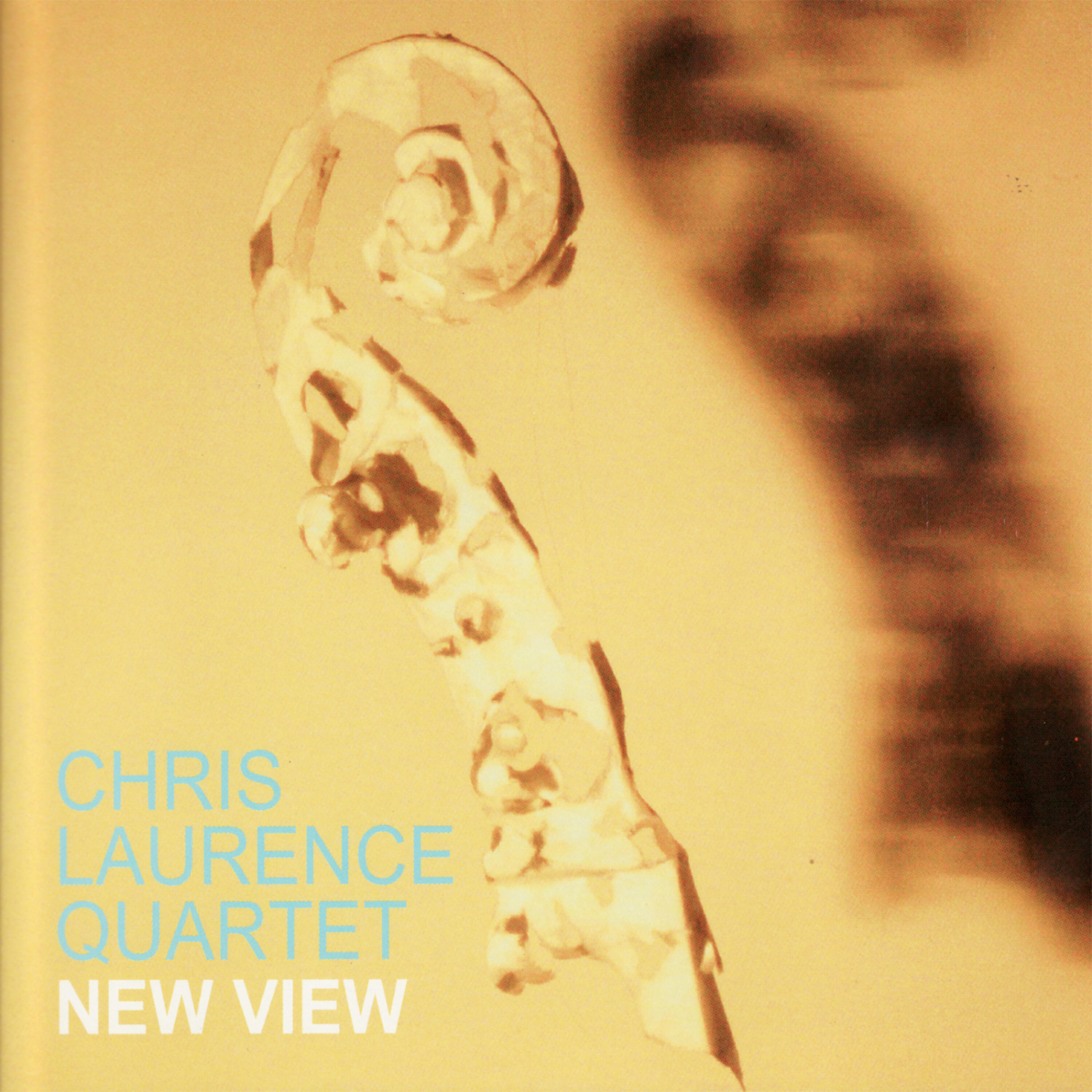 Chris Laurence Quartet - Scrim